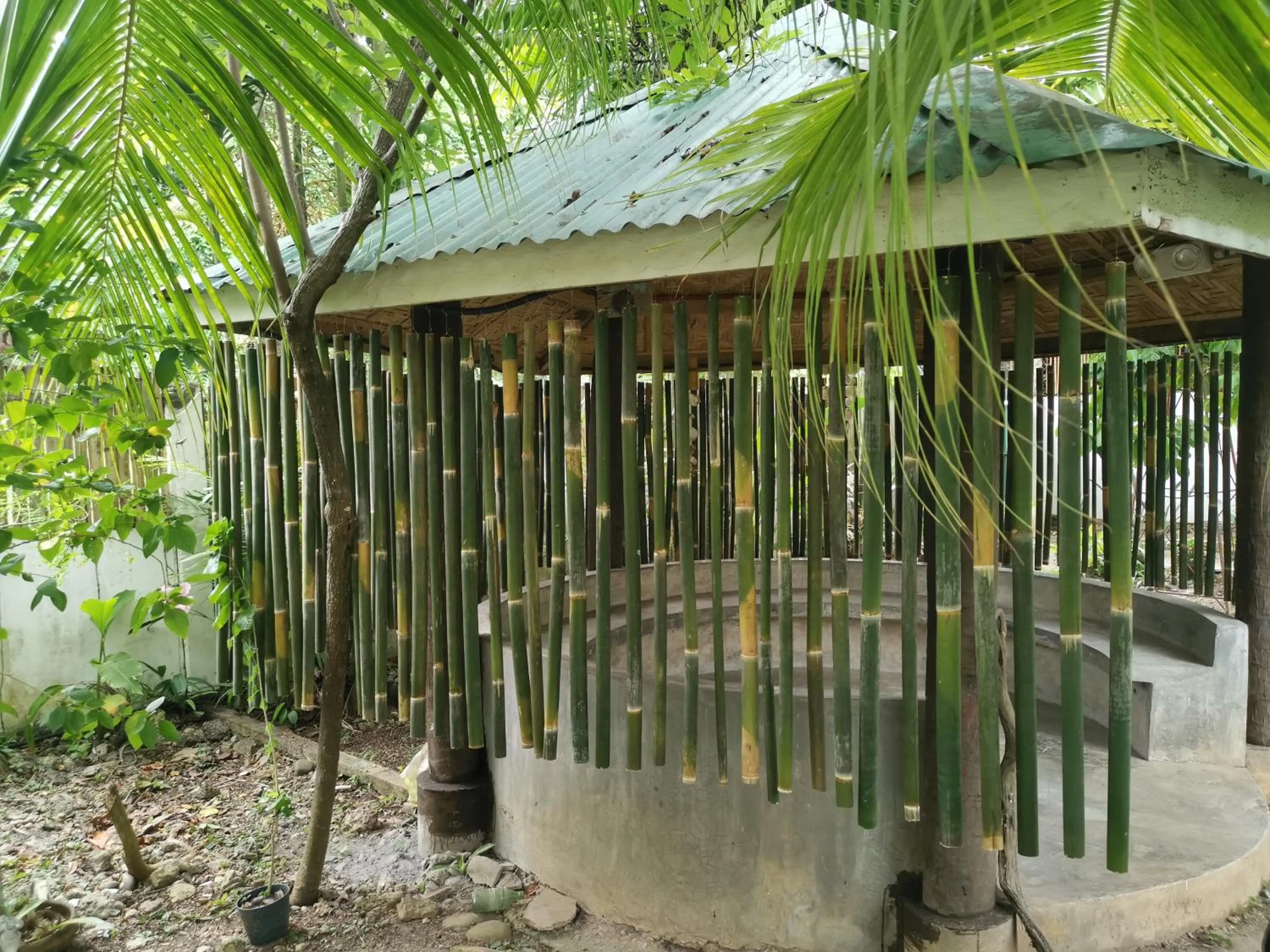Natural landscape in La Vida Hostel Samal Island