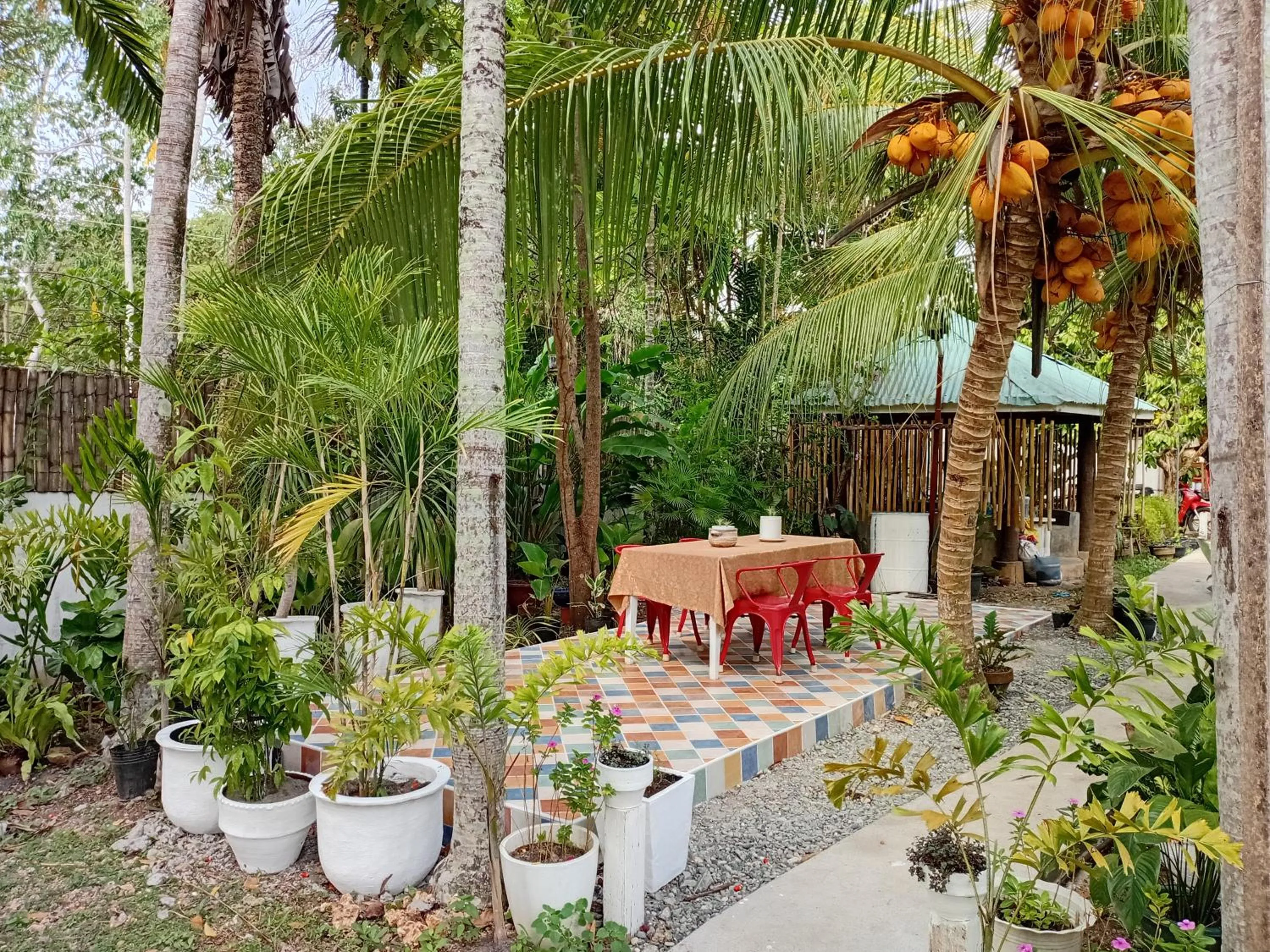 La Vida Hostel Samal Island