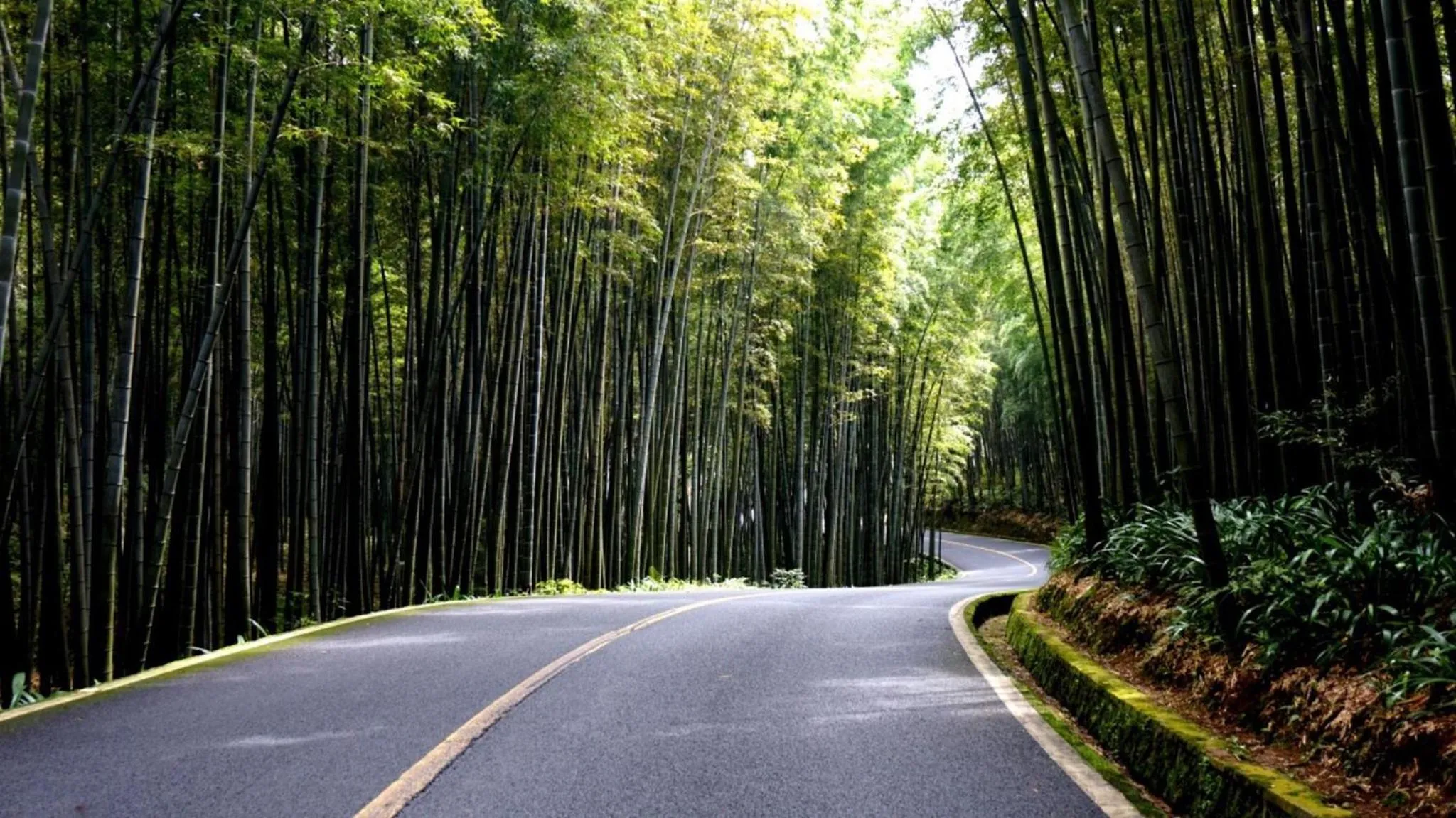 Area and facilities in Crowne Plaza Yibin by IHG