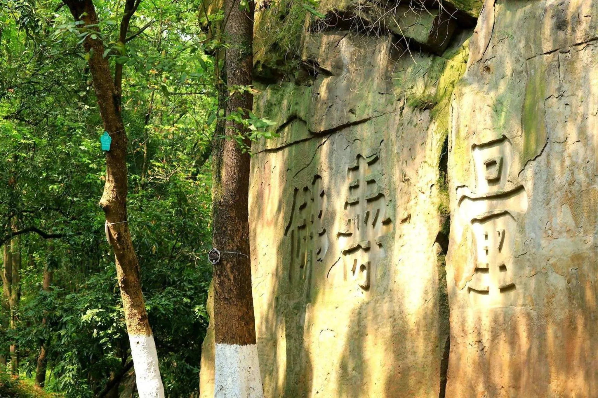 Area and facilities in Crowne Plaza Yibin by IHG