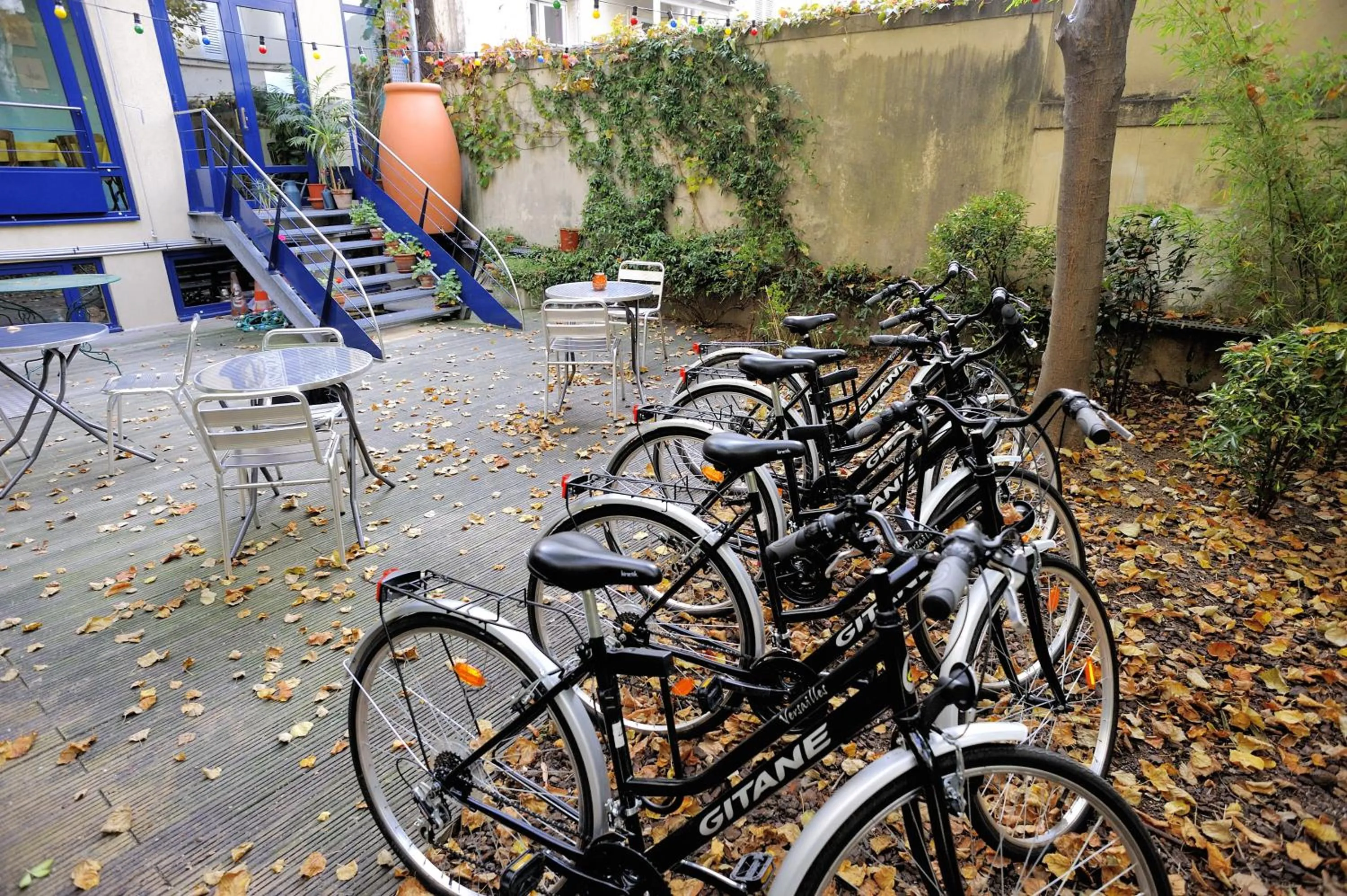 Garden in Solar Hotel