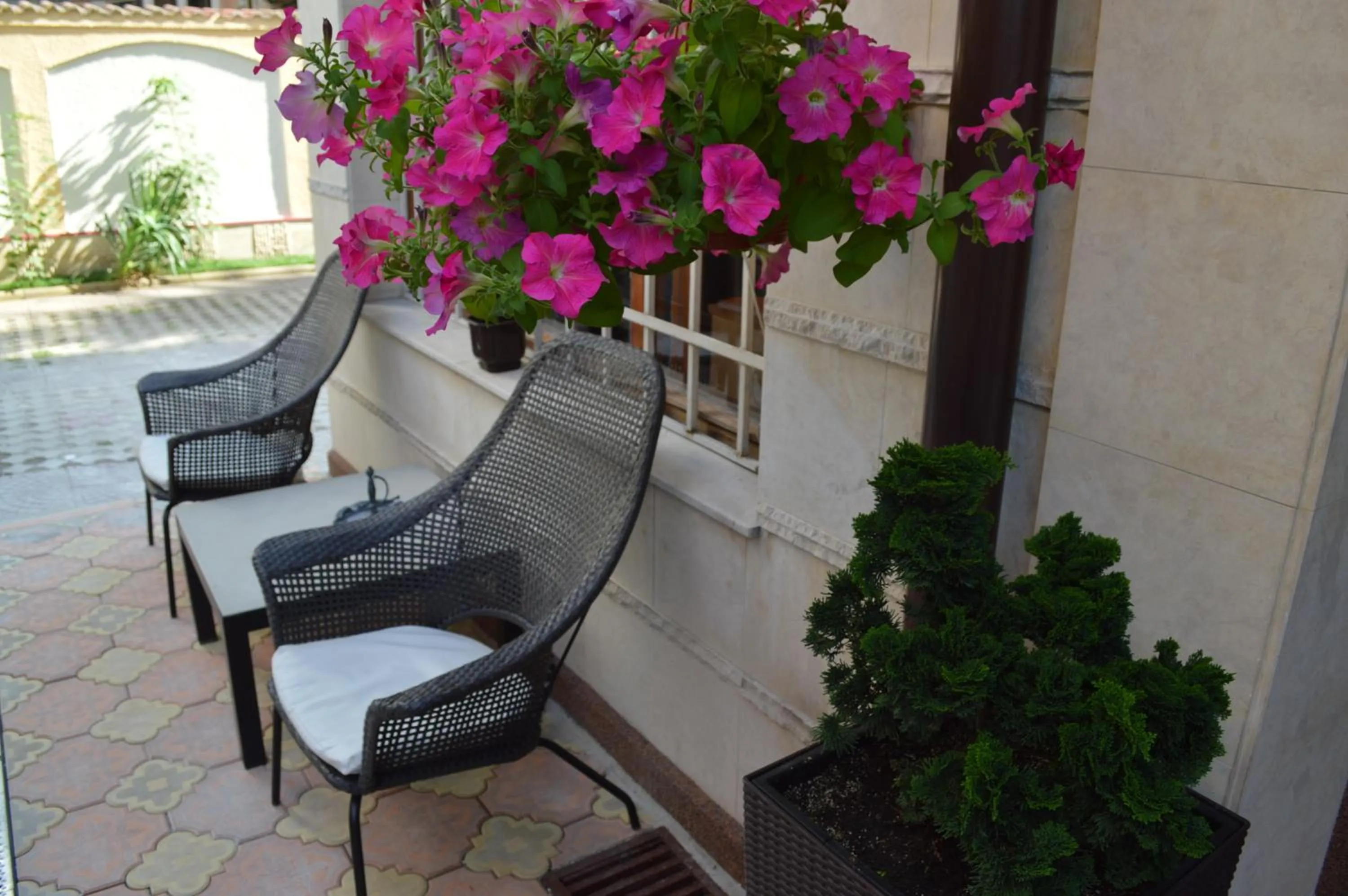 Garden in Bon Bon Hotel