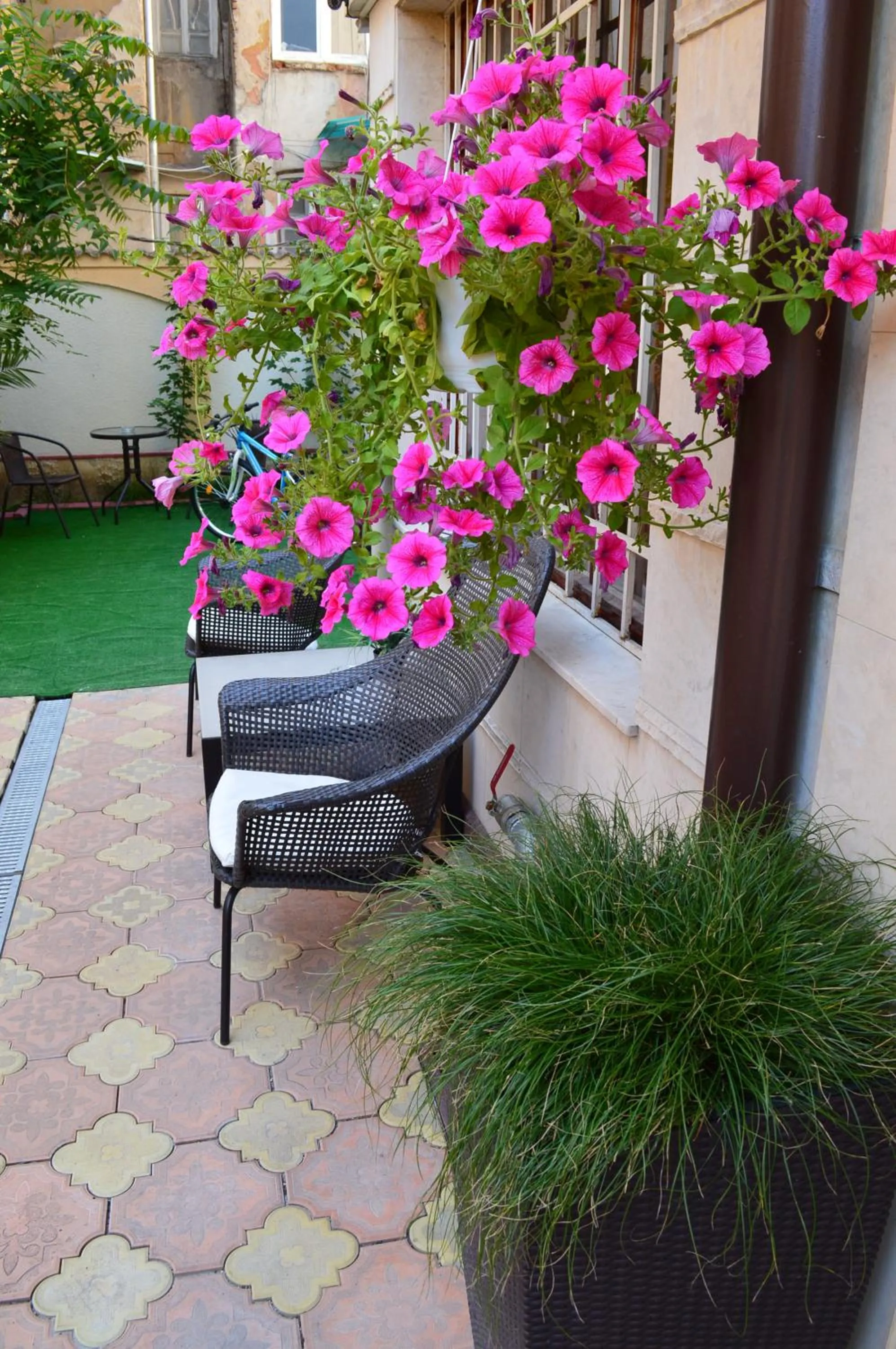 Garden in Bon Bon Hotel