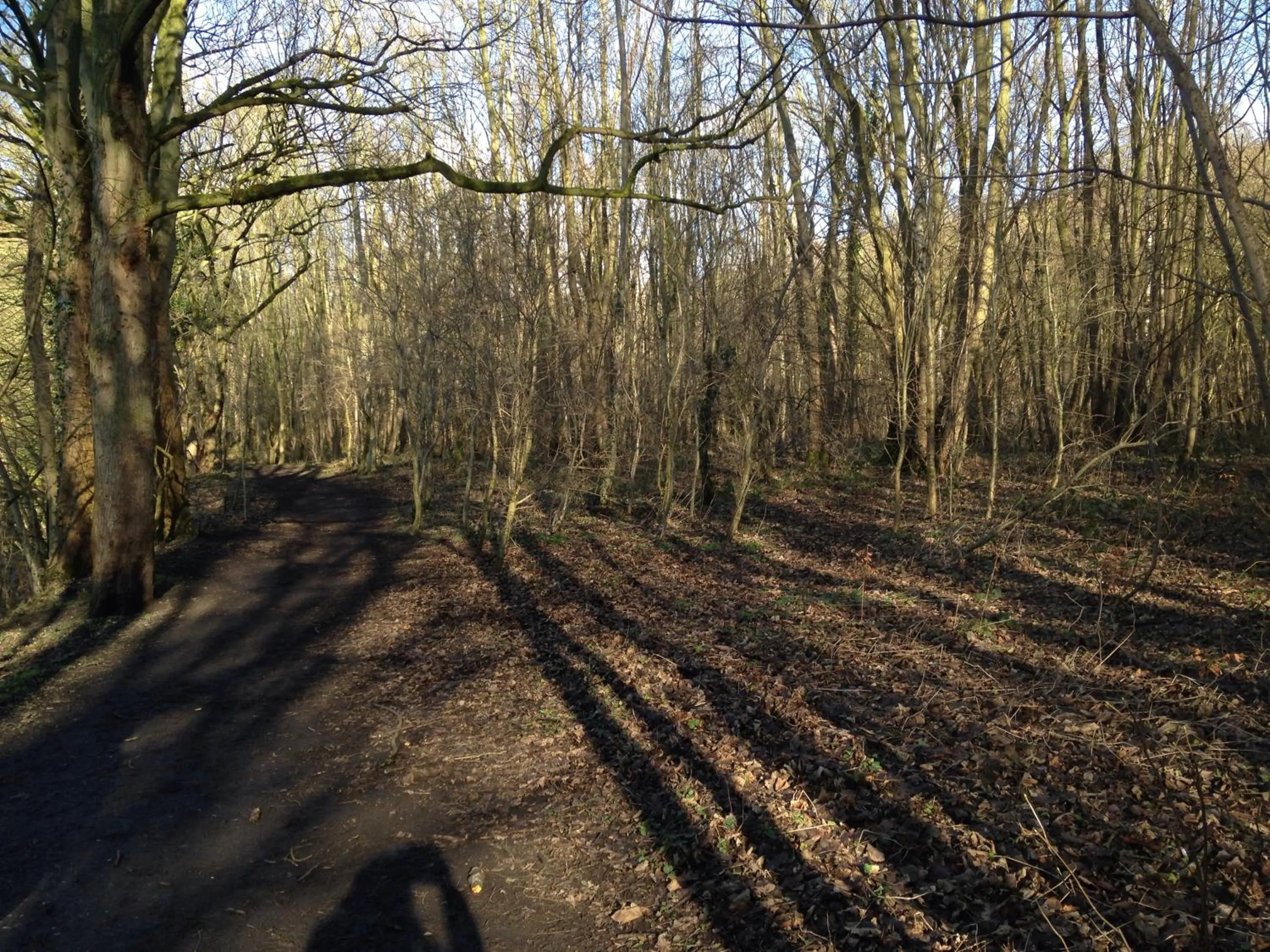 Neighbourhood in Slayleigh B&B, Matlock