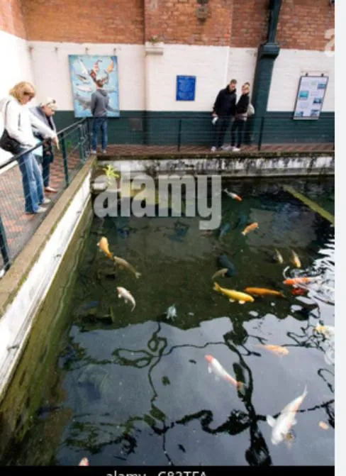 Slayleigh B&B, Matlock
