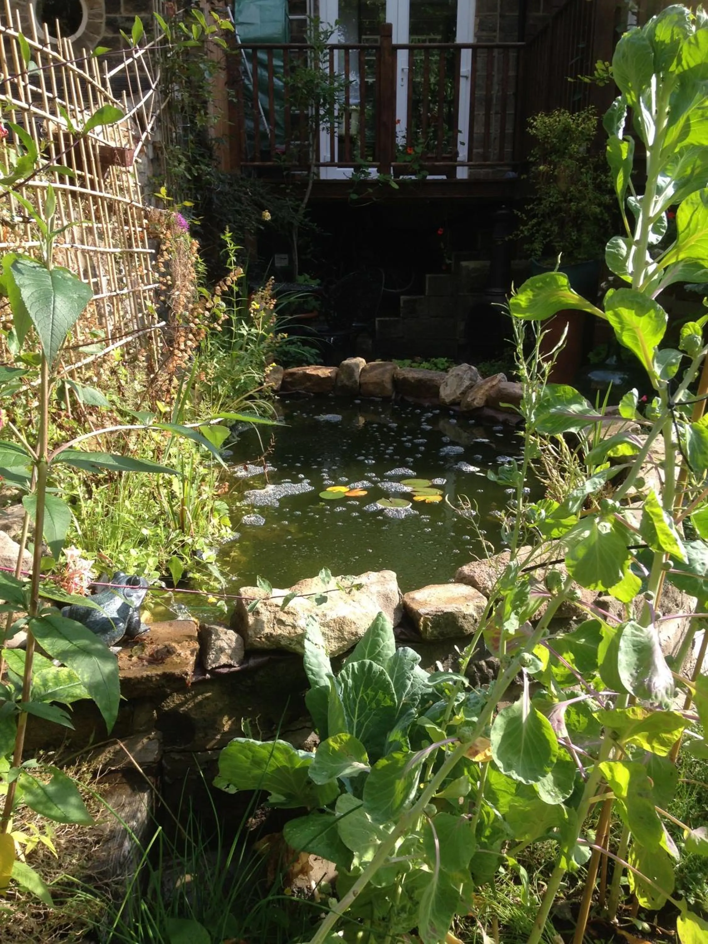 Garden in Slayleigh B&B, Matlock