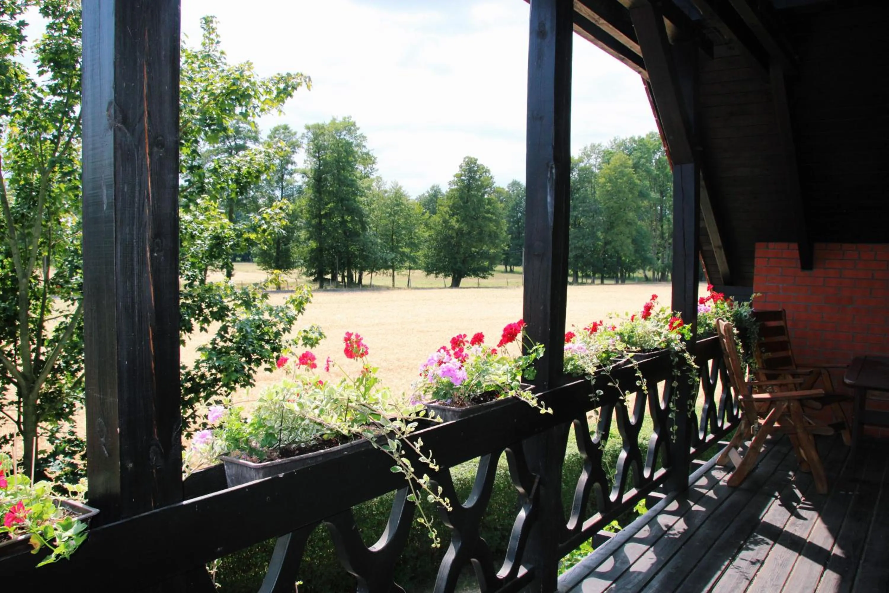Balcony/Terrace in Landgasthof Zur Wildbahn
