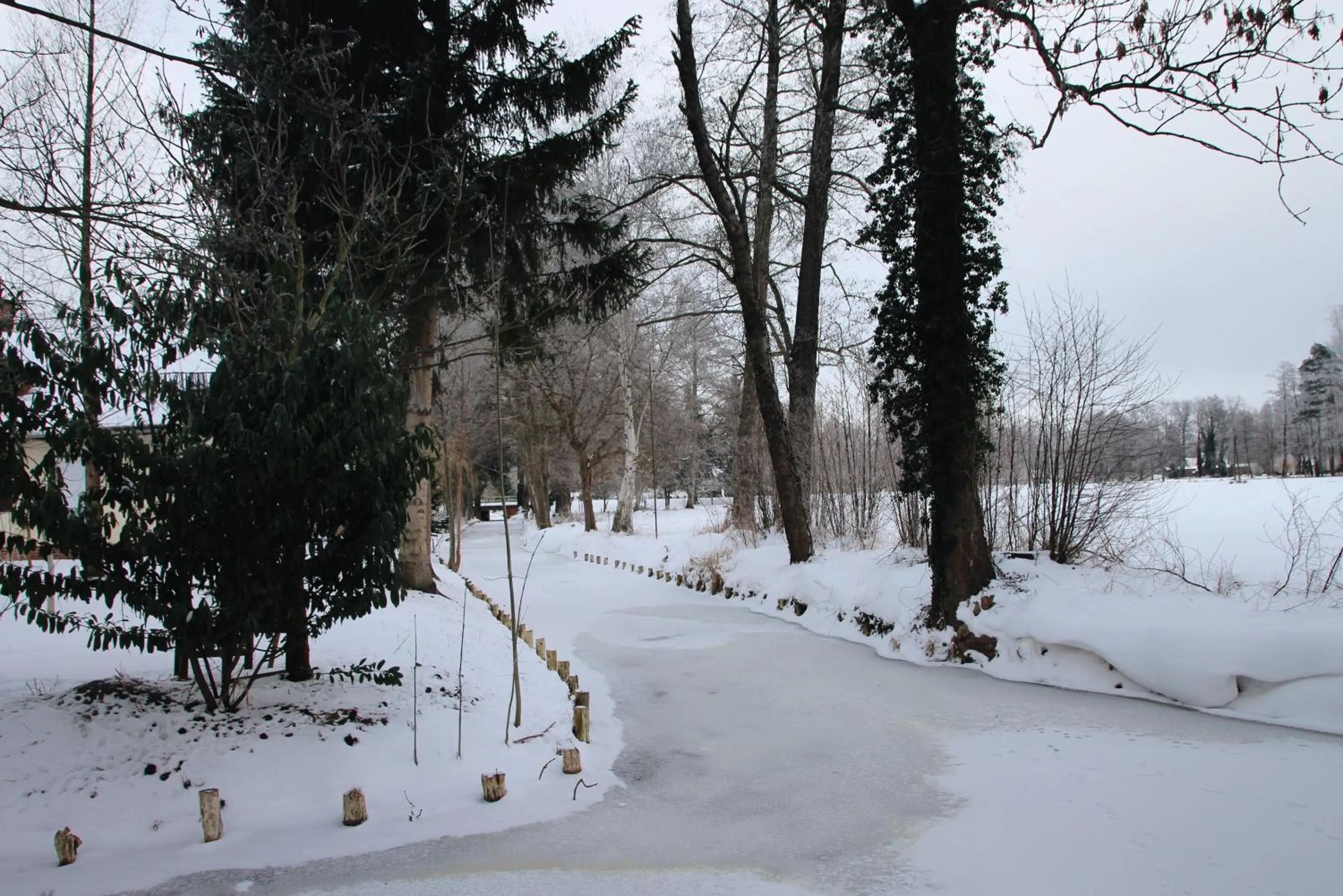 Winter in Landgasthof Zur Wildbahn