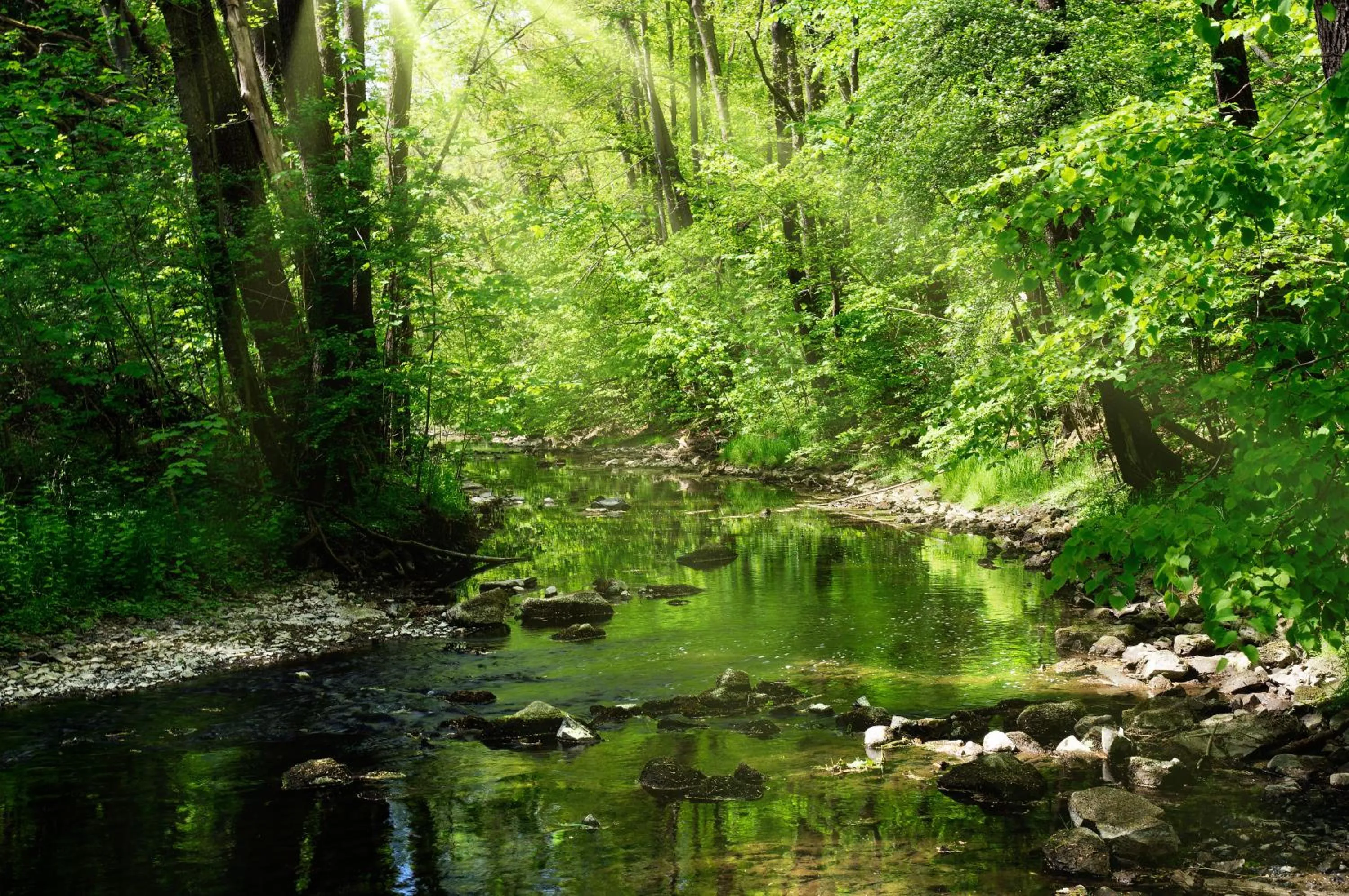 Hiking in Hotel König Albert