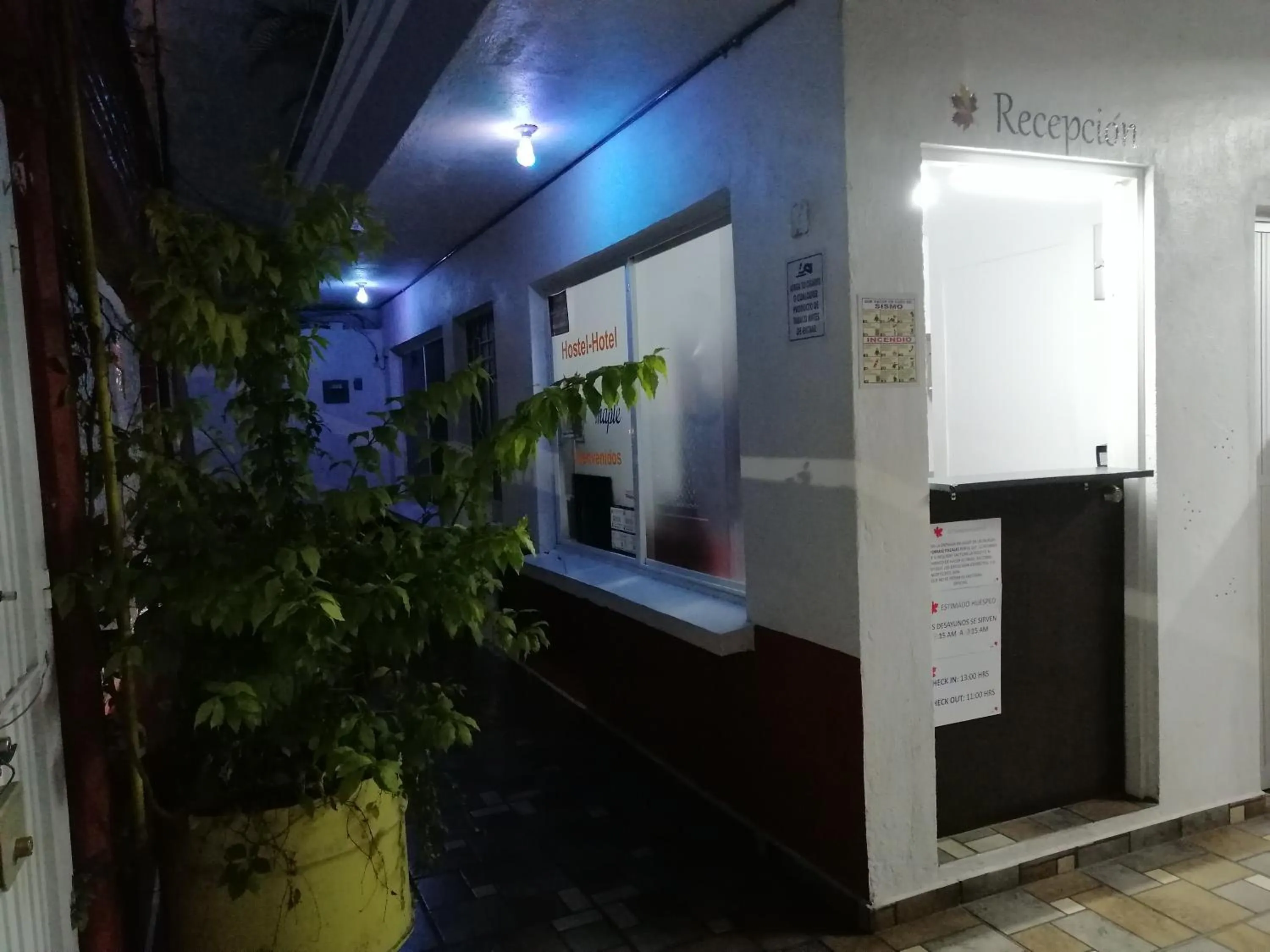 Lobby or reception in Hostal Maple