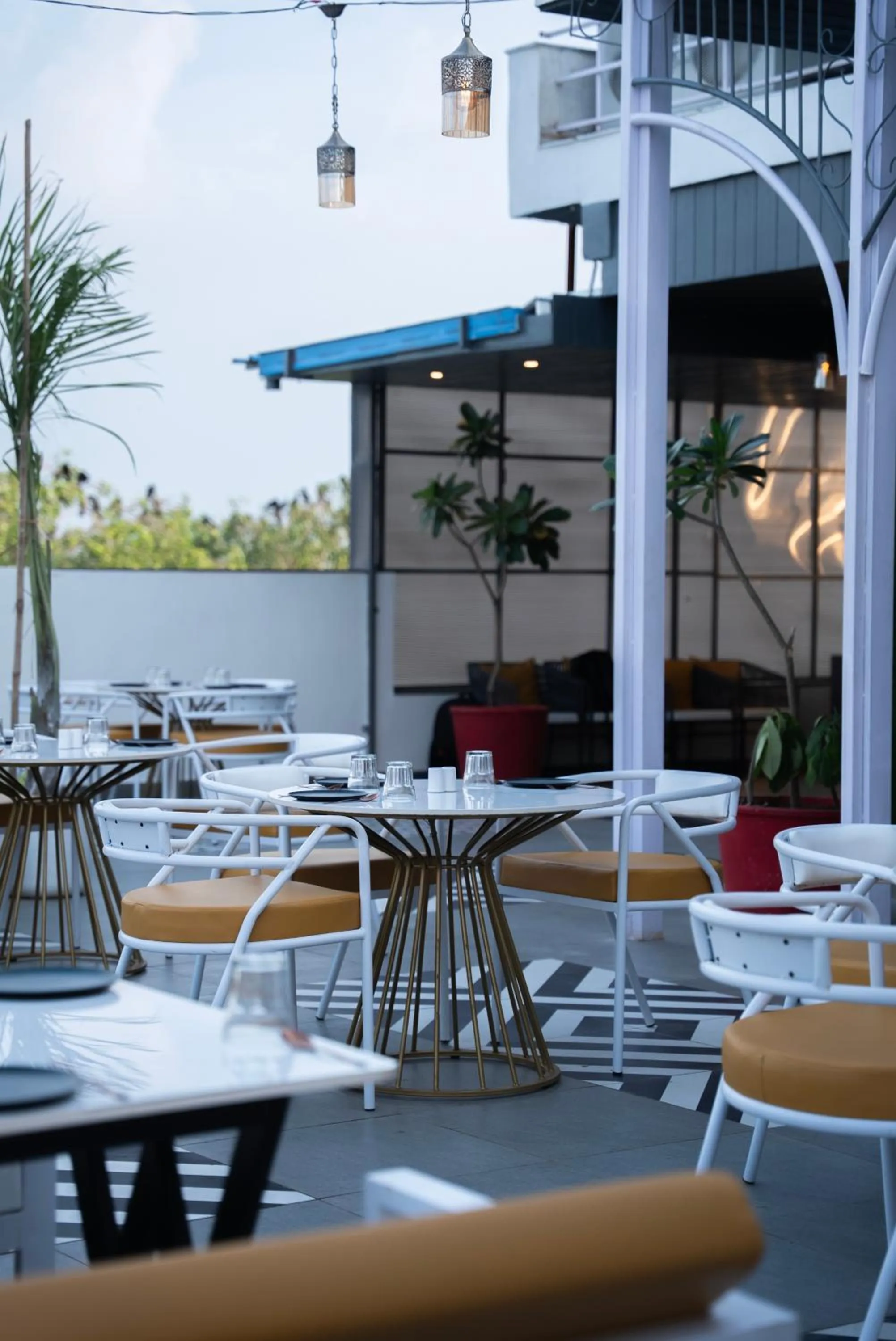 Restaurant/places to eat in The White Roots Hotel