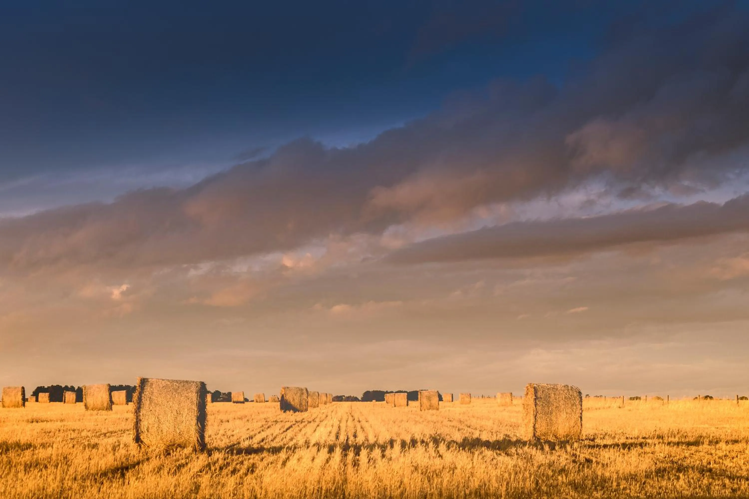 Off site in Lake Bolac Motel