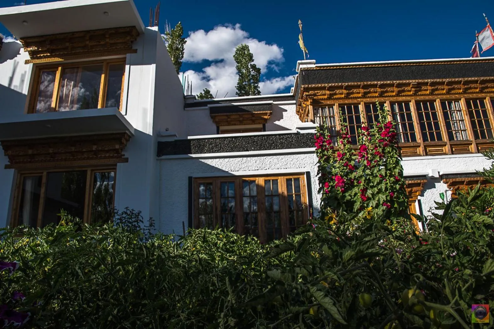 Property building in Shaolin Ladakh