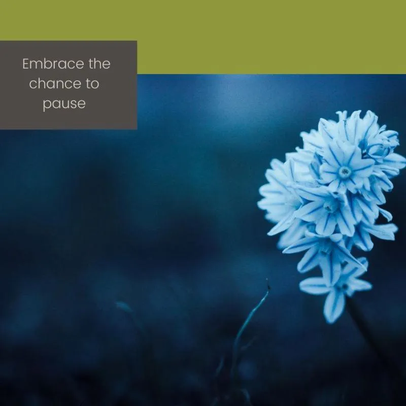 Mulwala Paradise Palms Motel