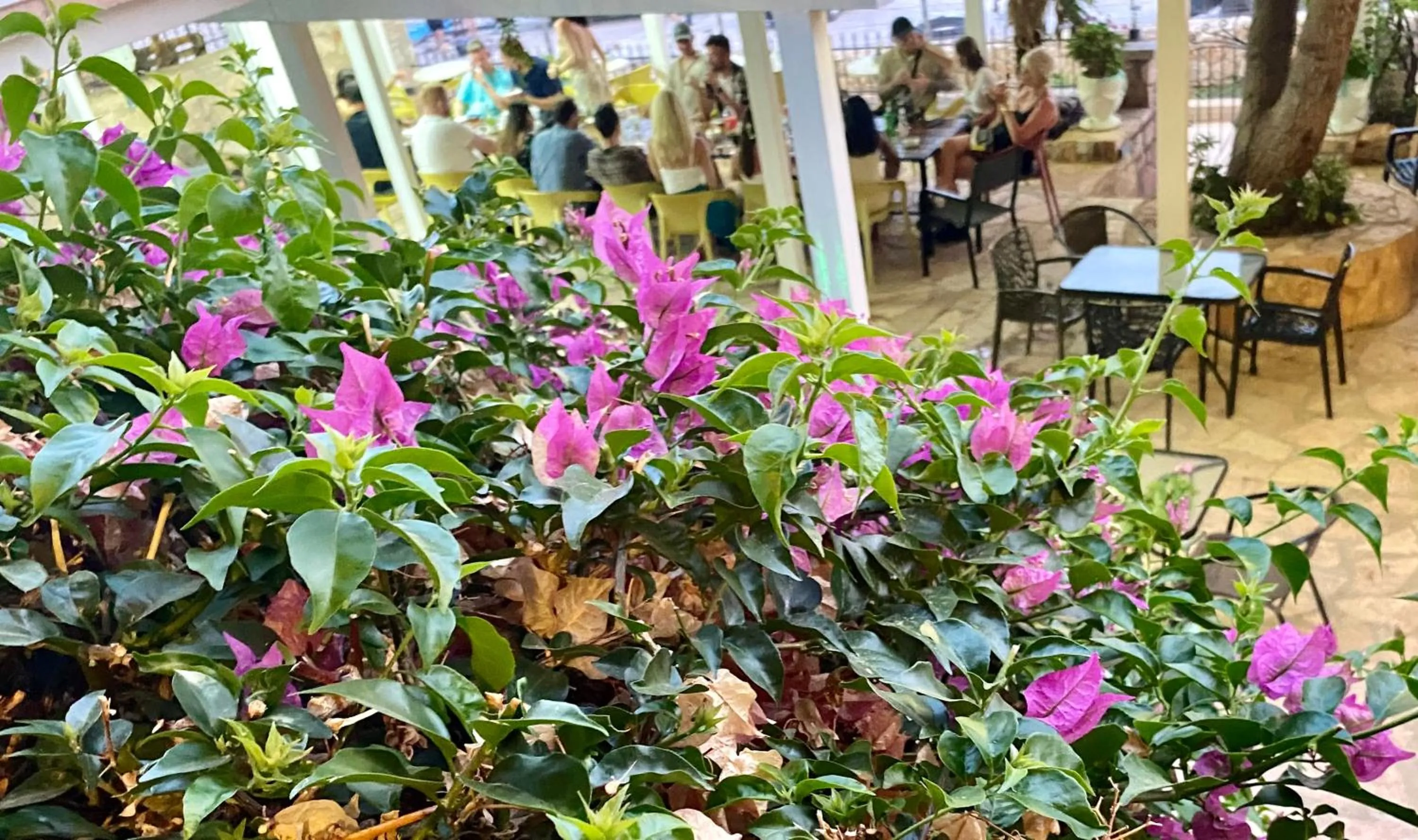 Kalemi's Beachside Hotel