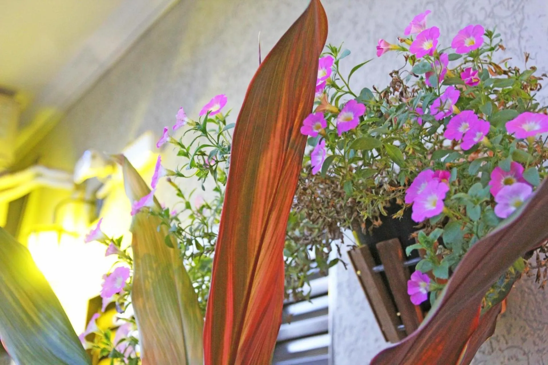 Pousada Recanto da Morada