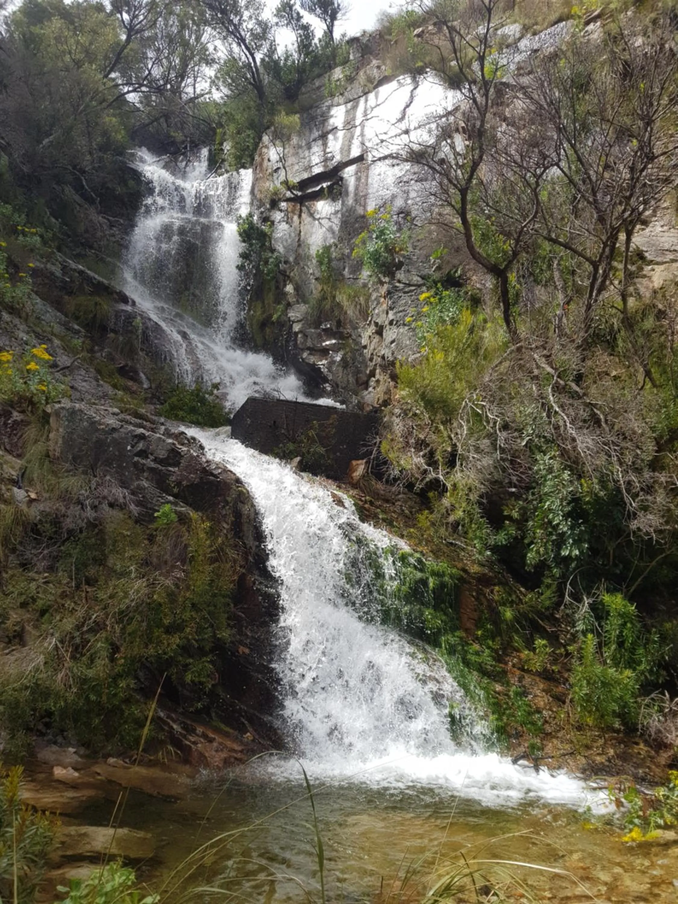 Natural landscape in Le Petit Bijou