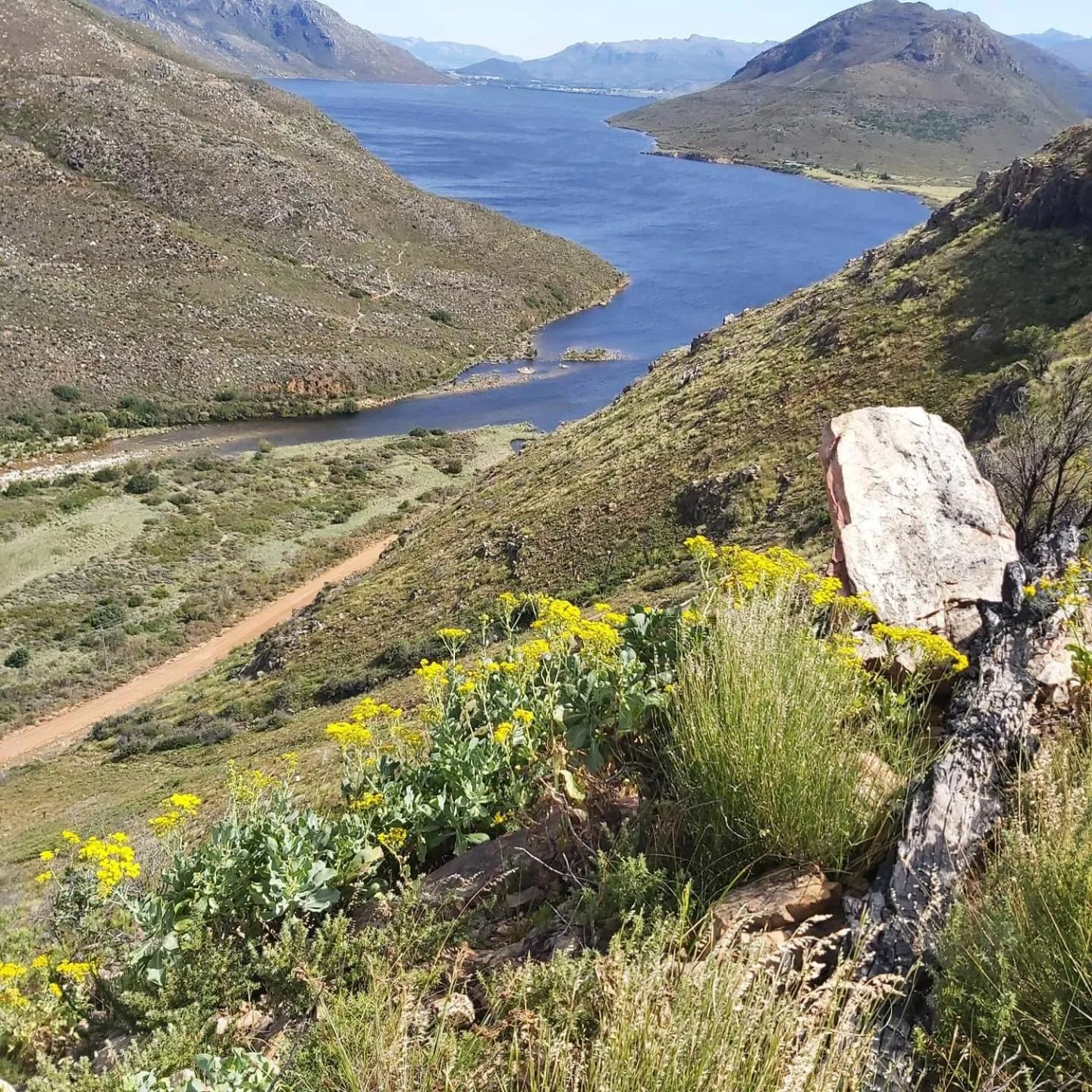 Natural landscape in Le Petit Bijou