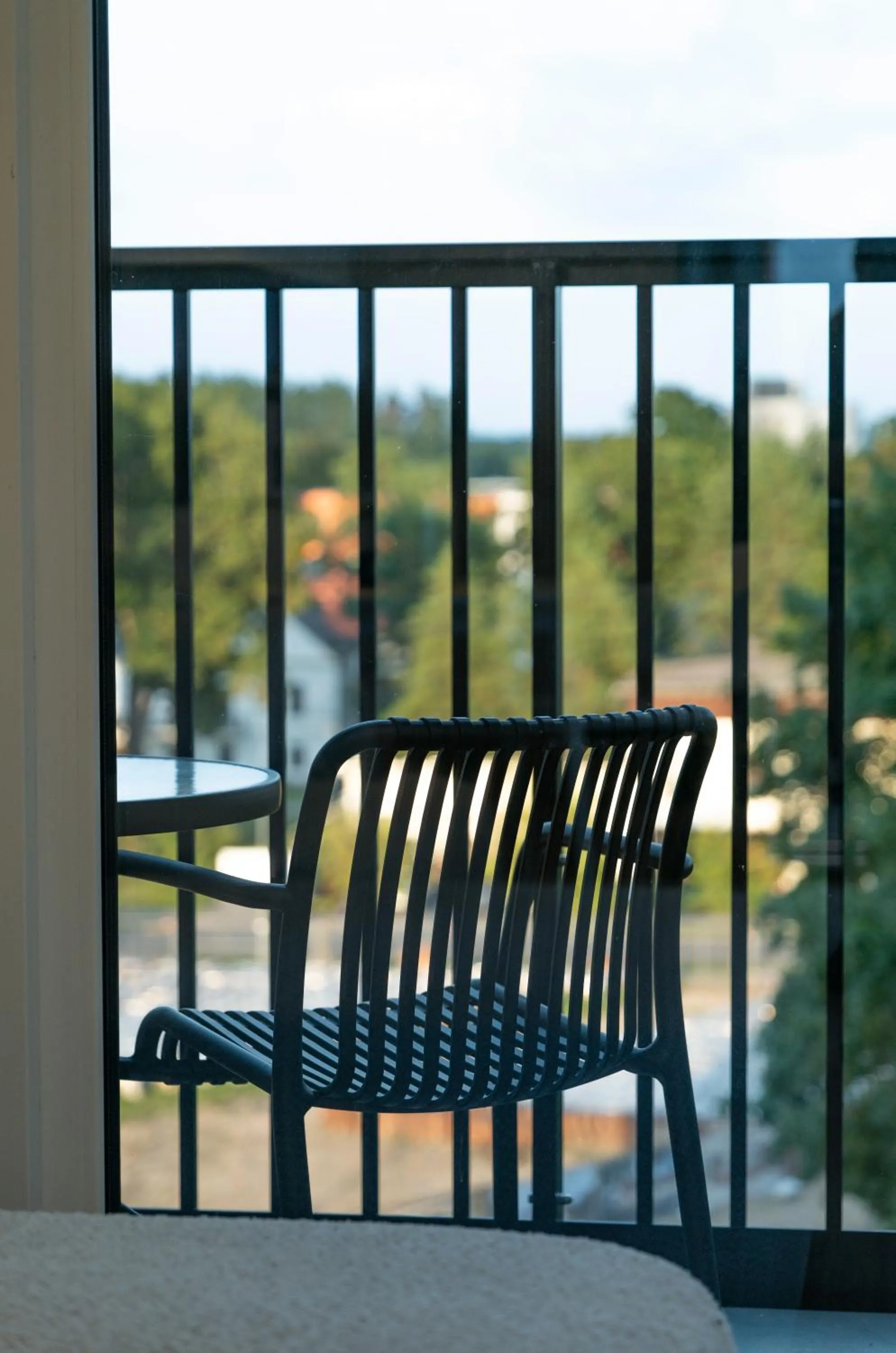 View (from property/room) in Aparthotel Nemunas