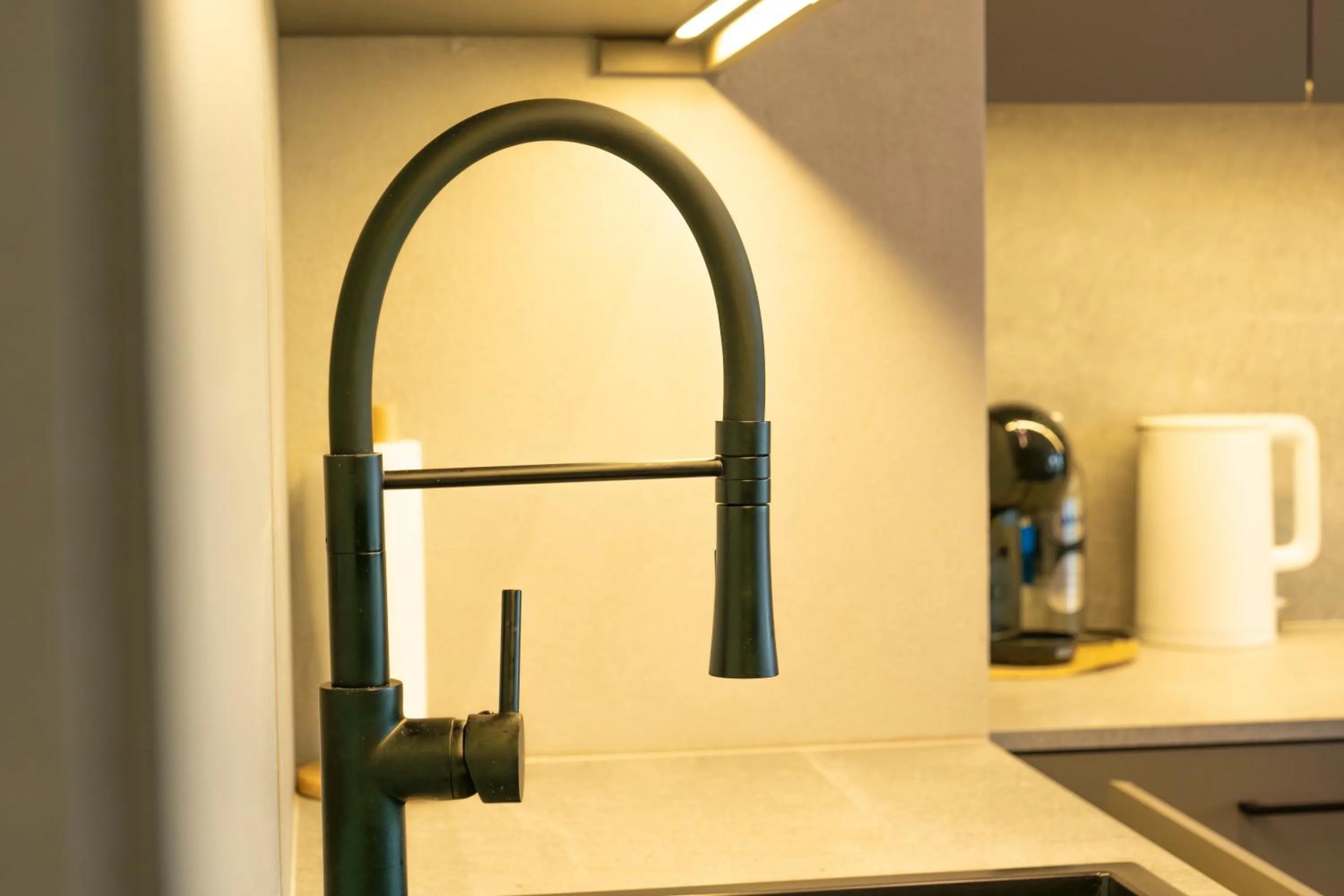 Kitchen or kitchenette in Aparthotel Nemunas