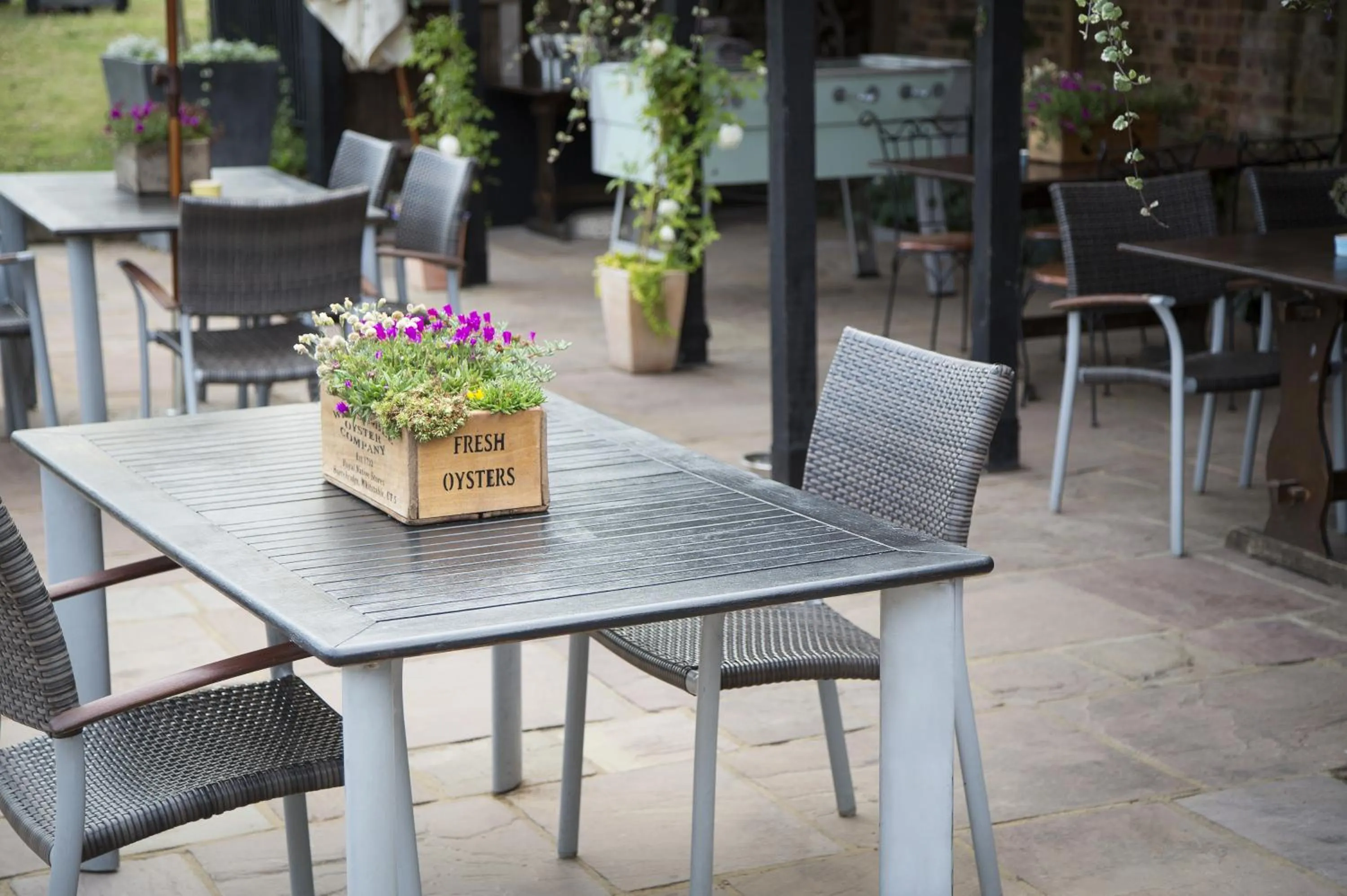 Garden in The Duke William