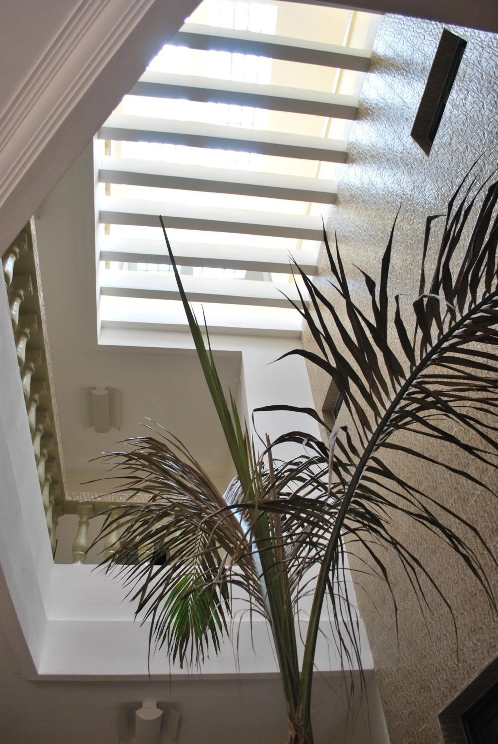 Patio in Hotel Residence Flamani