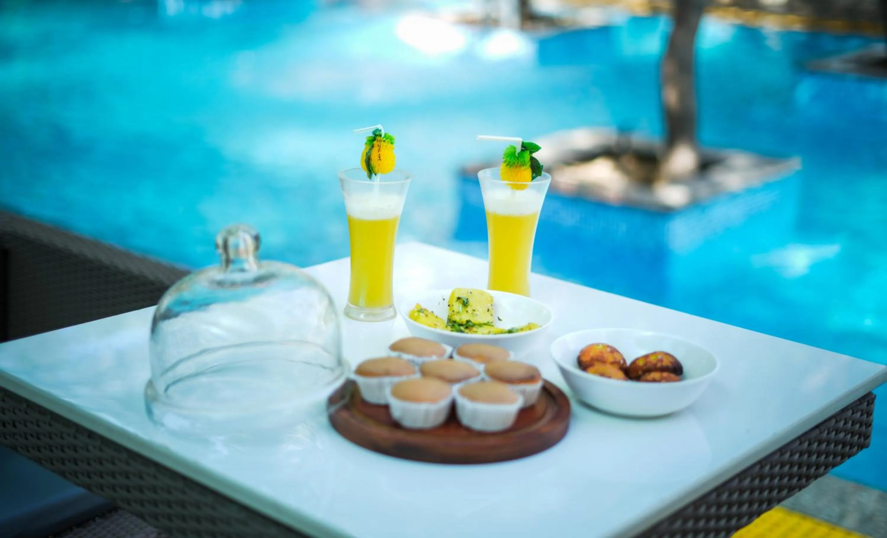 Food and drinks in Visamo Nalsarovar Resort, Ahmedabad