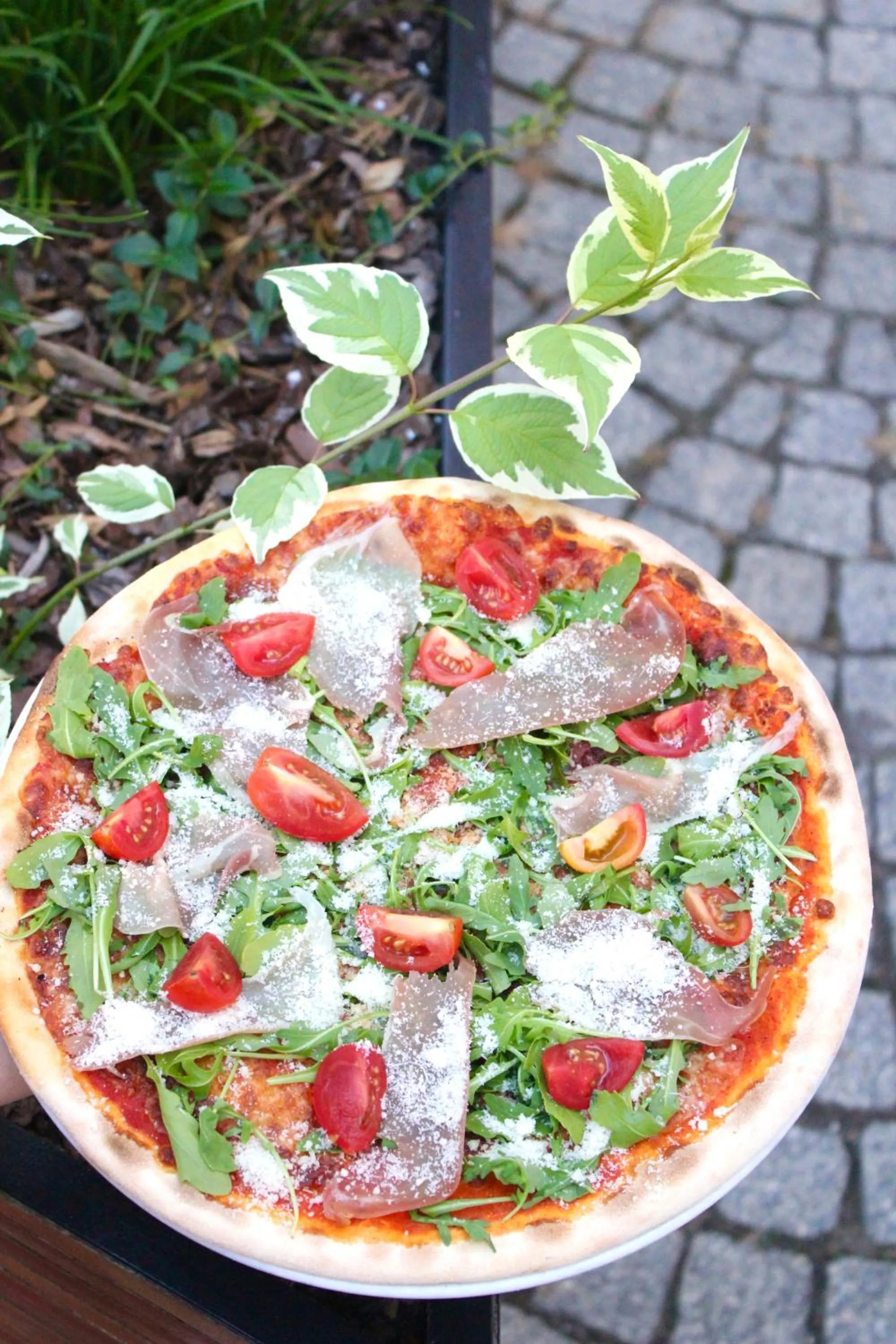 Food close-up in Palazzo Rosso Old Town