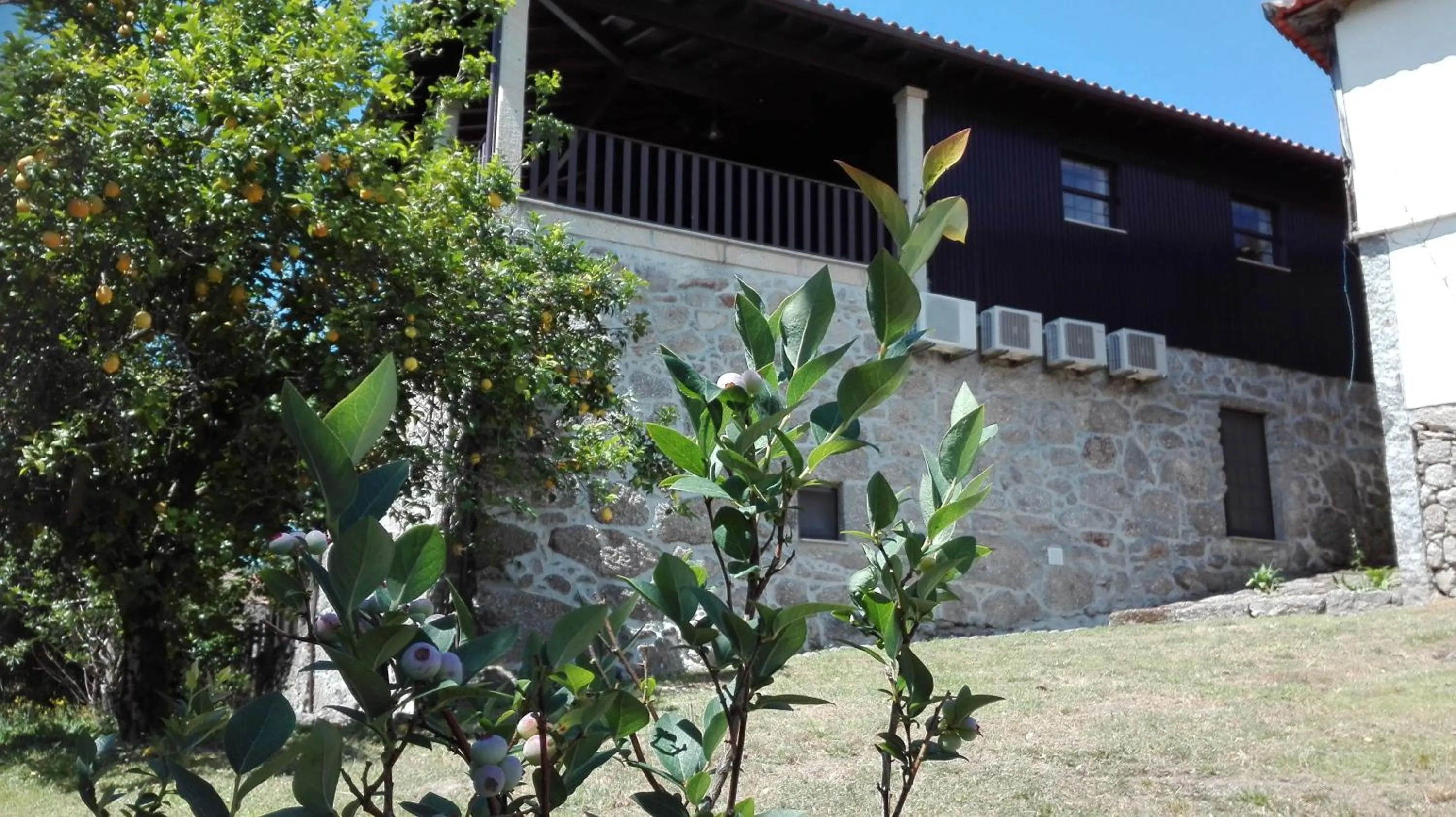 Quinta da Mata