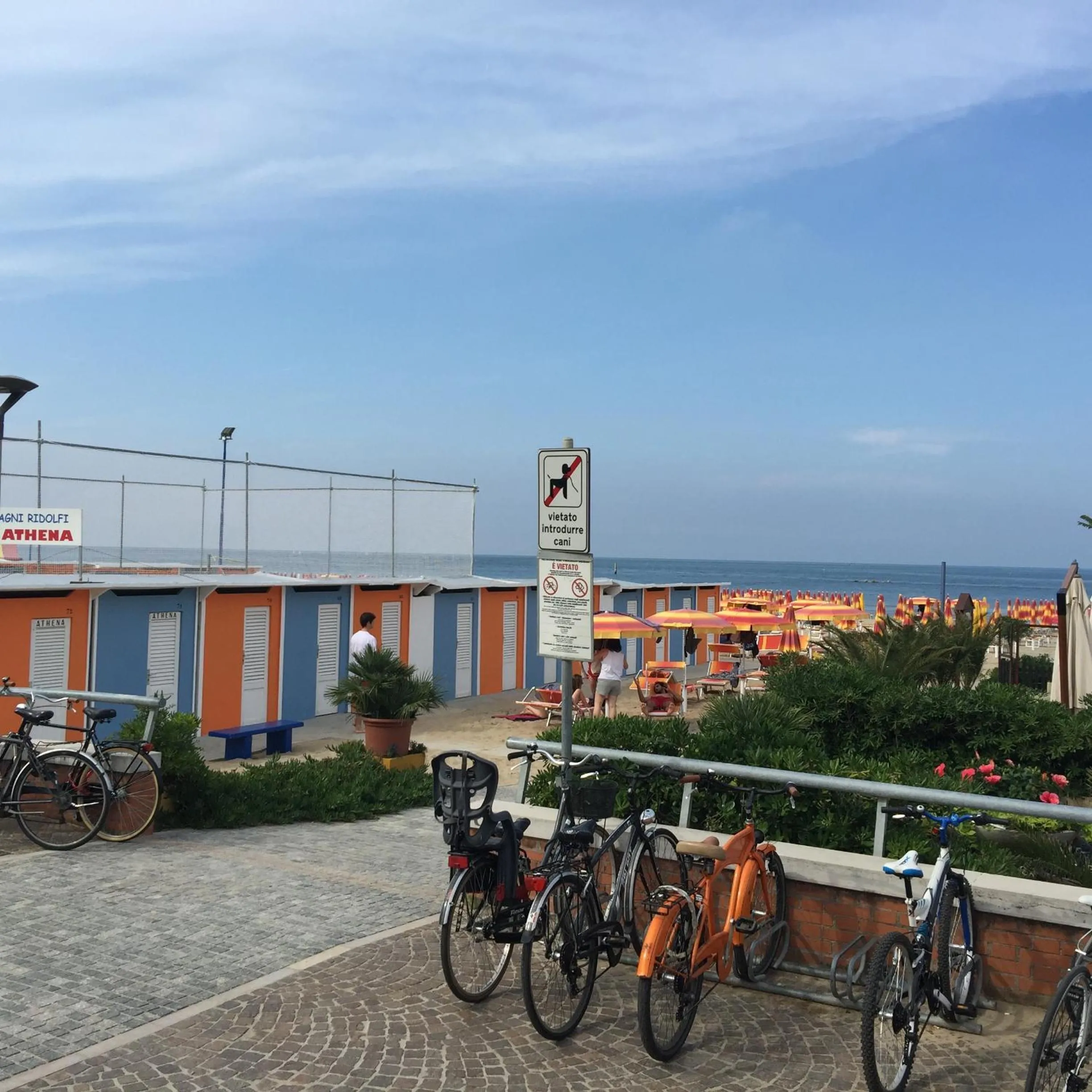 Summer in Hotel Athena