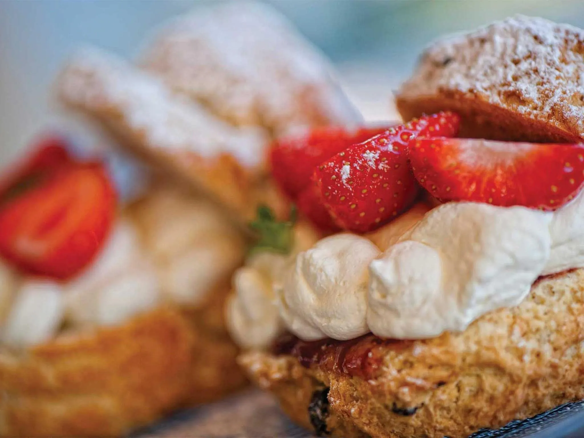 Restaurant/places to eat in The Waterside Hotel