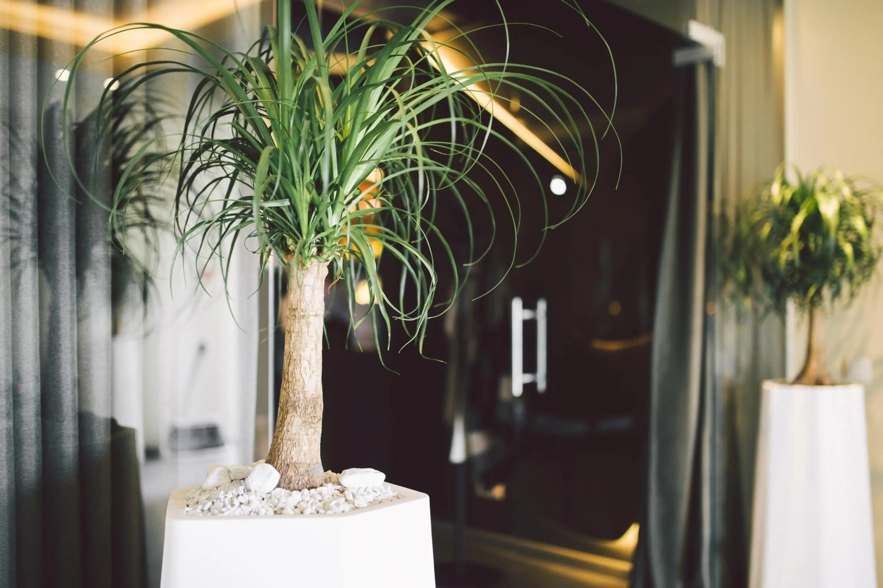 Dunetton - self check-in hotel