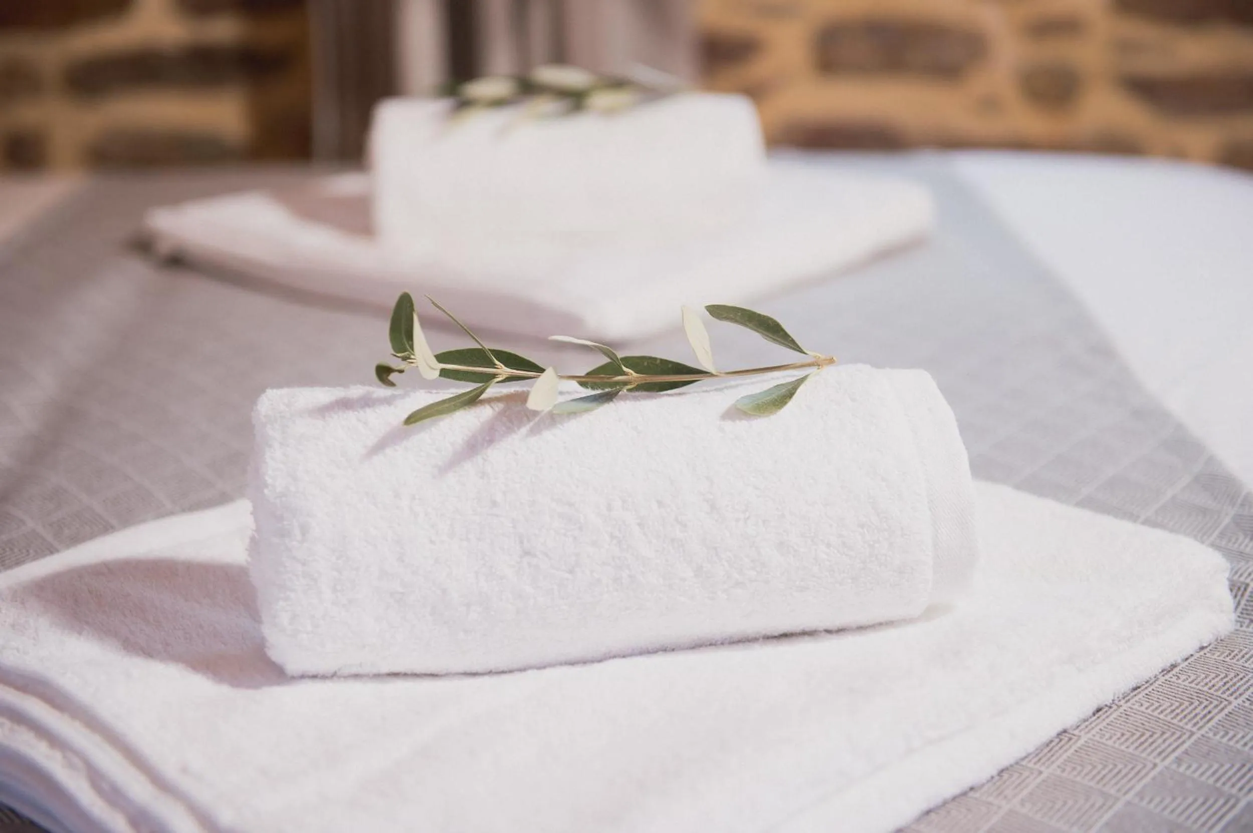 Area and facilities in Lameriana Luxury Village