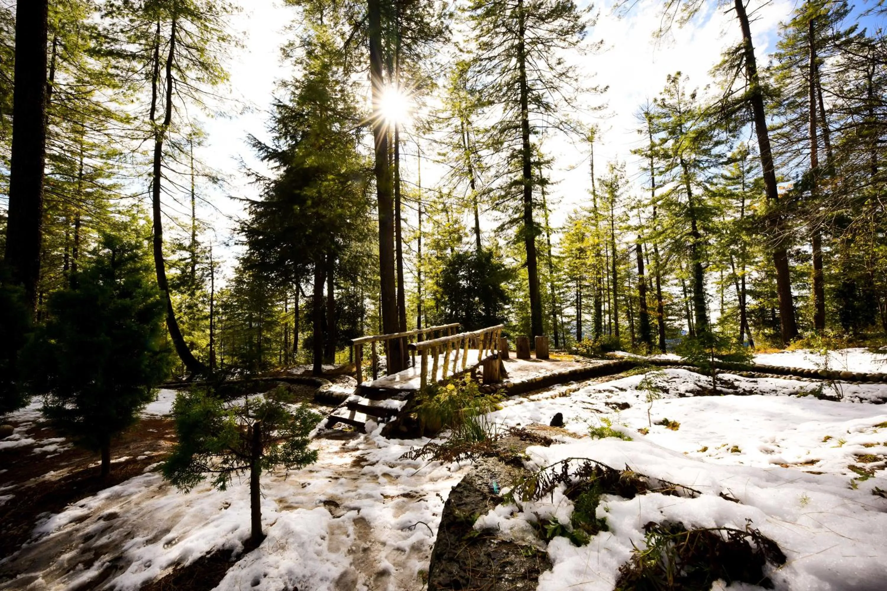 Winter in Zostel Homes Mashobra (Shimla)