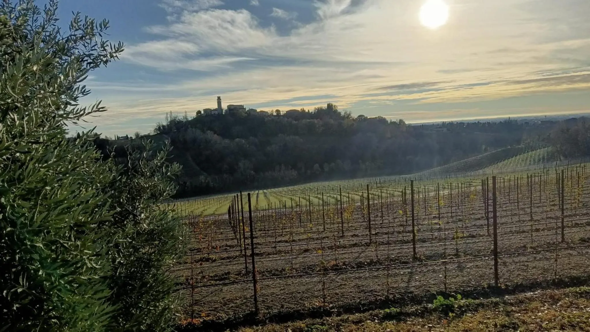 Hiking in Il giuggiolo