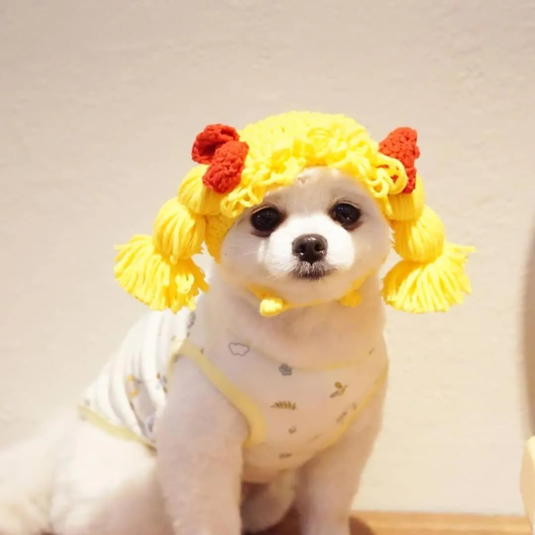 Pets in Hi Jeju Hotel