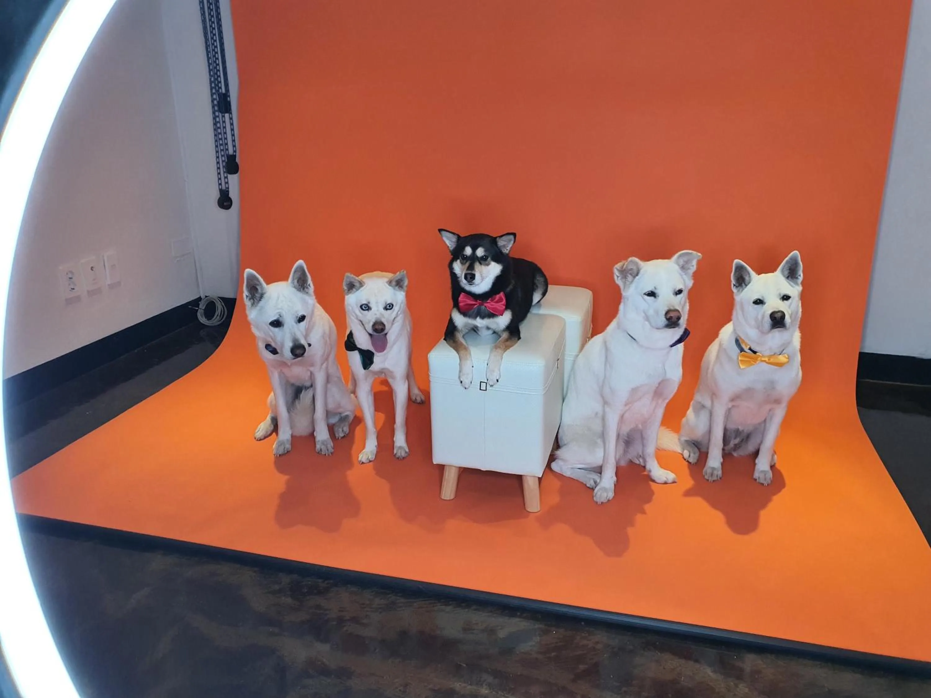 Property building in Hi Jeju Hotel