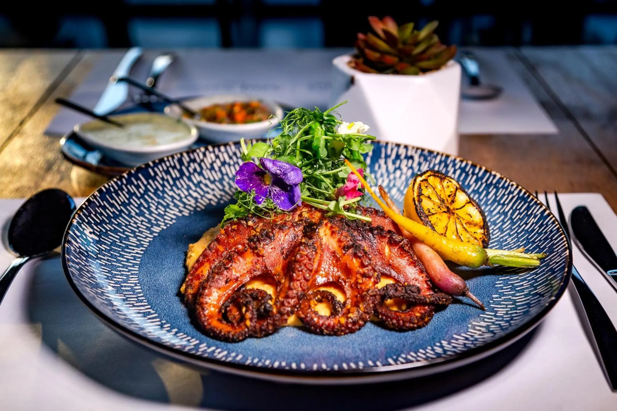 Food and drinks in InHouse Glamping Hotel La Paz