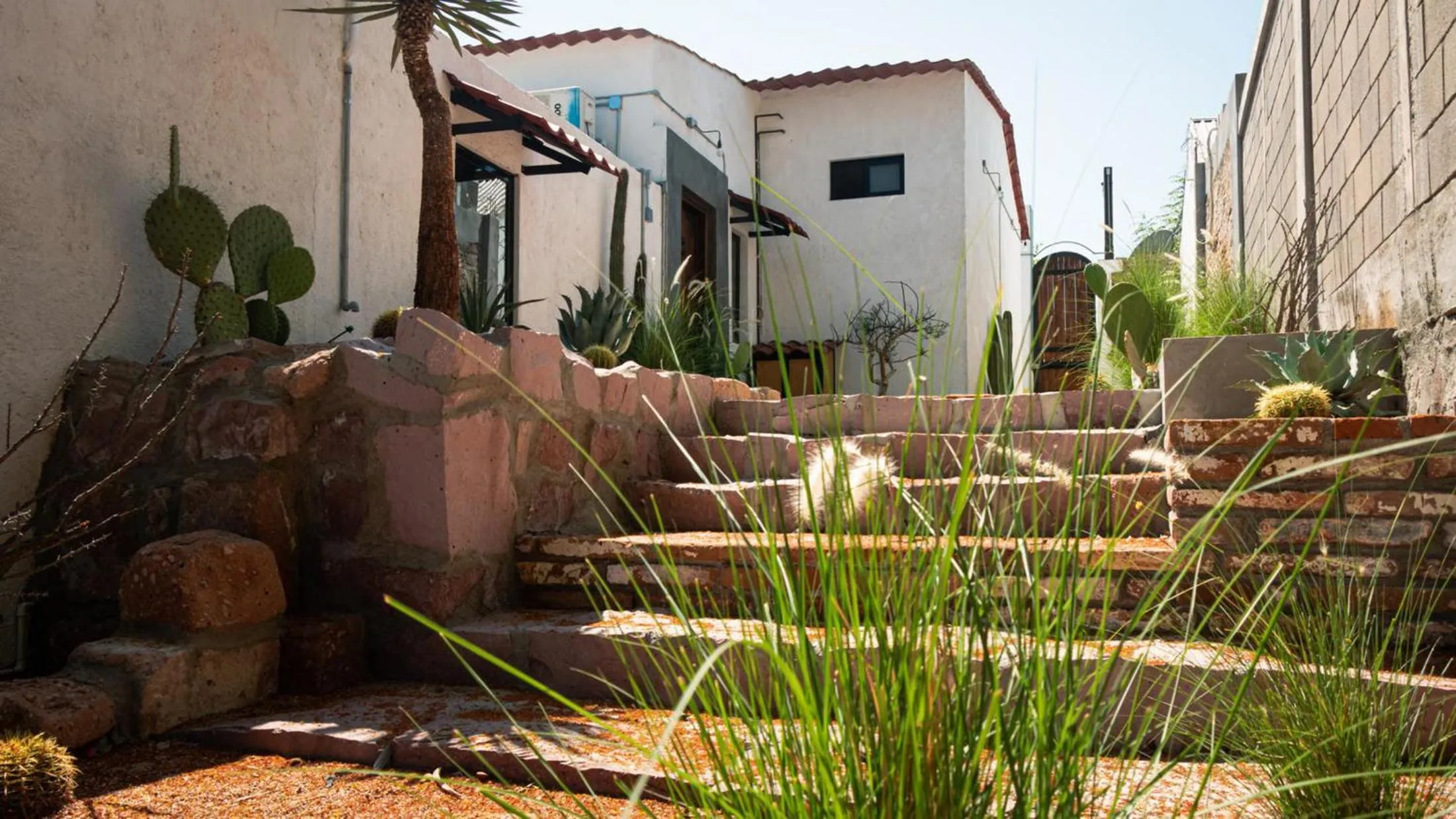 Garden in InHouse Glamping Hotel La Paz