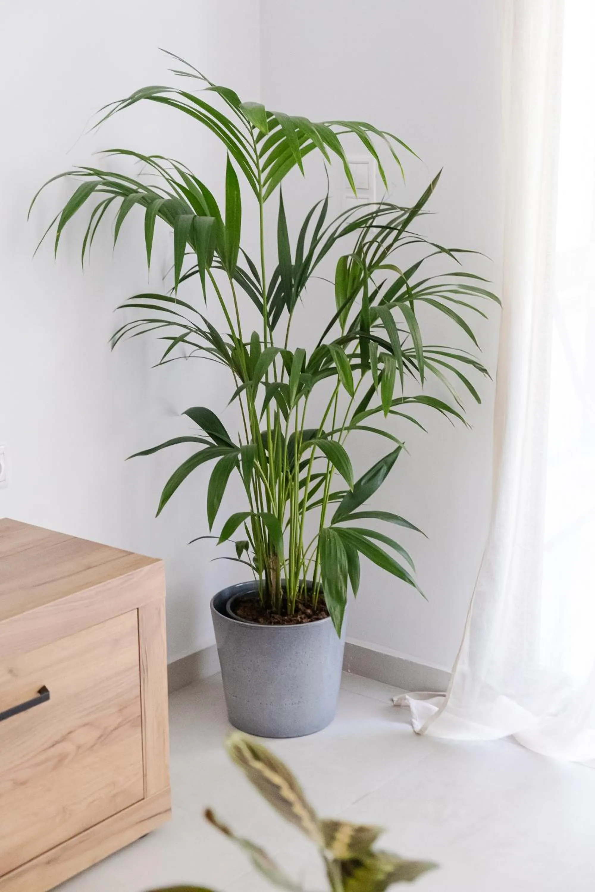 Decorative detail in Noon Smart Residences