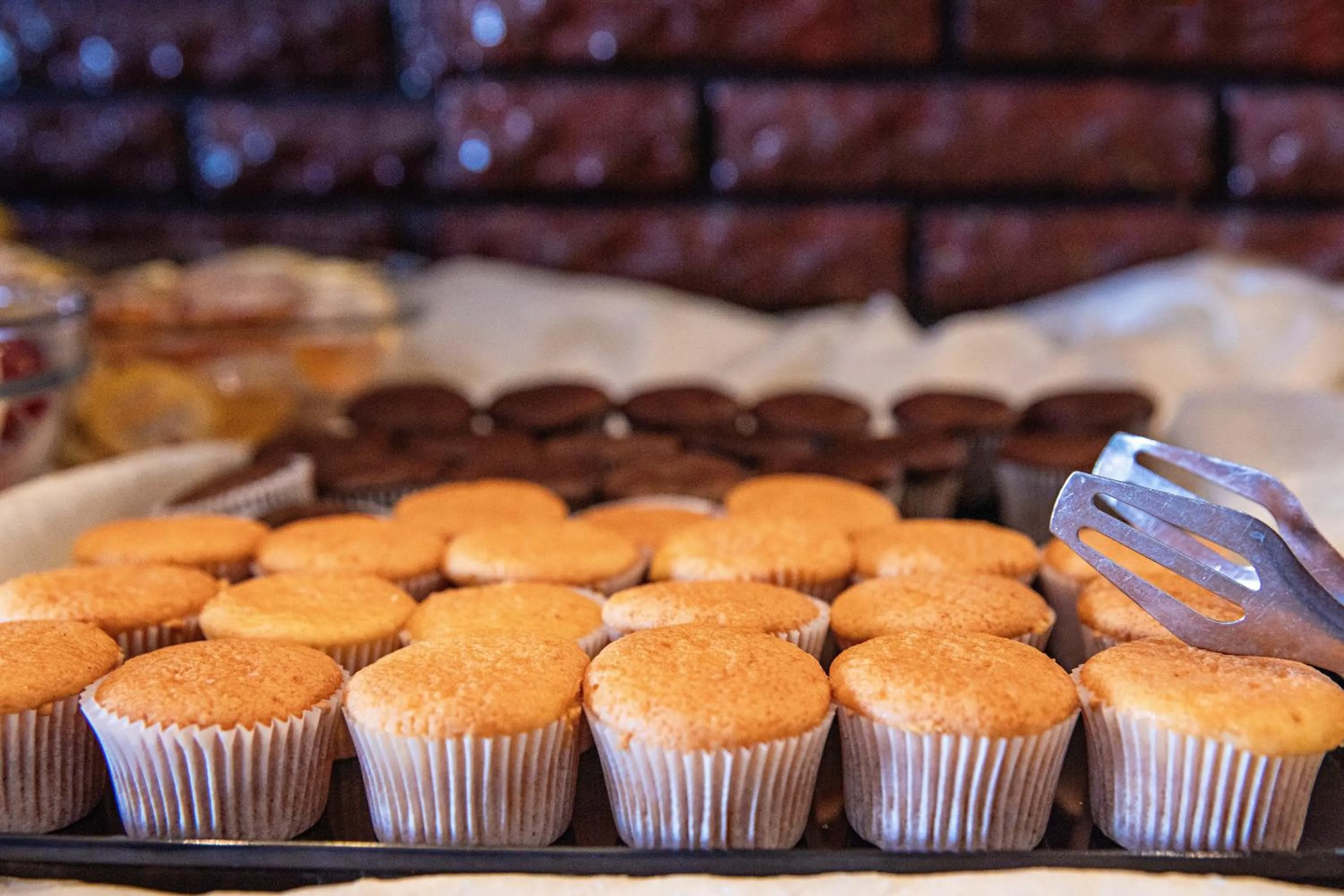 Food and drinks in MPM Hotel Condor - All Inclusive Light