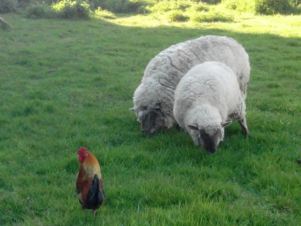 Property building in Logis de Riparfonds