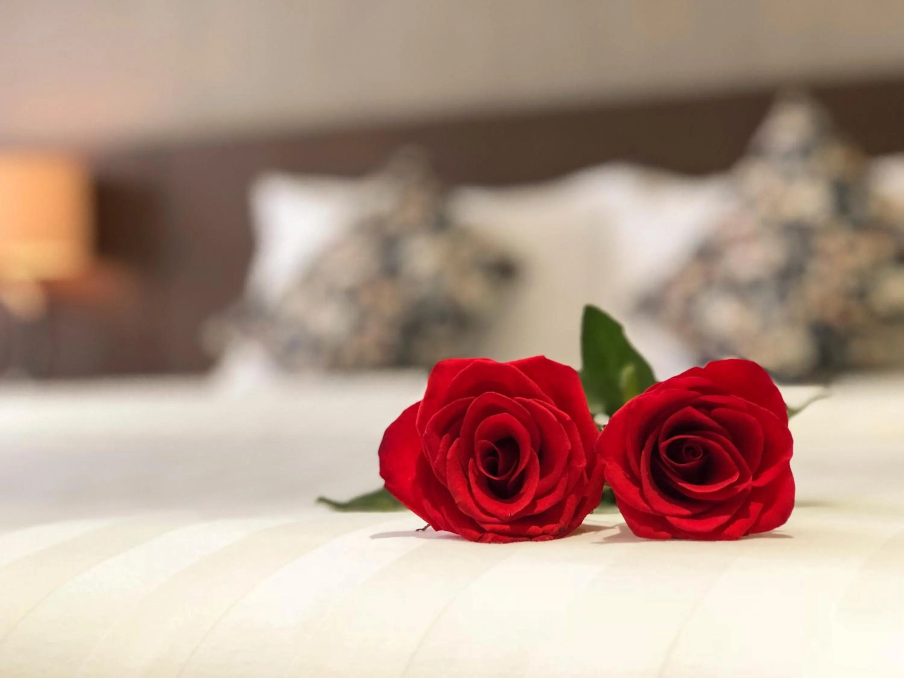 Area and facilities in Sunny Serviced Apartment