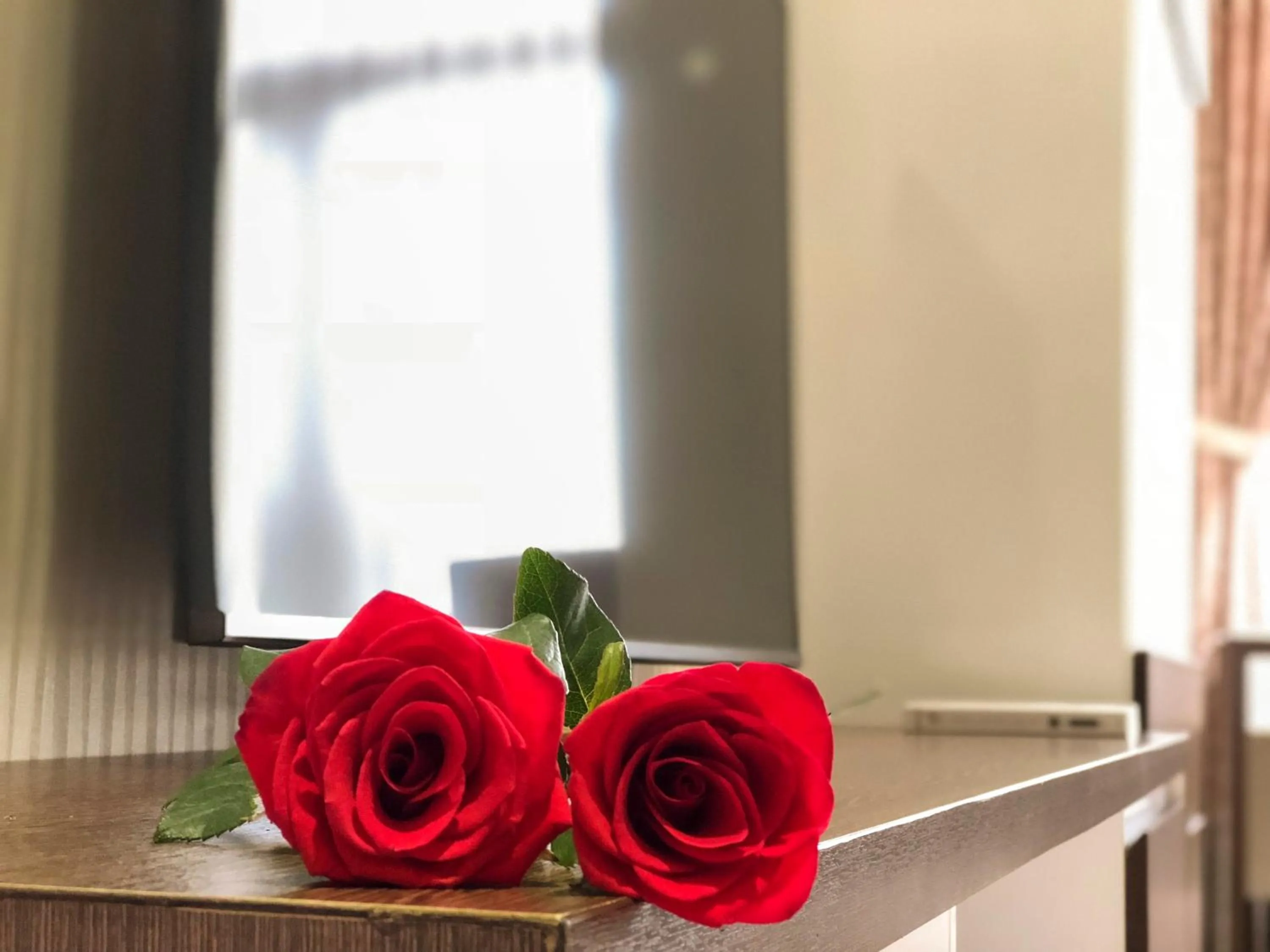 Area and facilities in Sunny Serviced Apartment