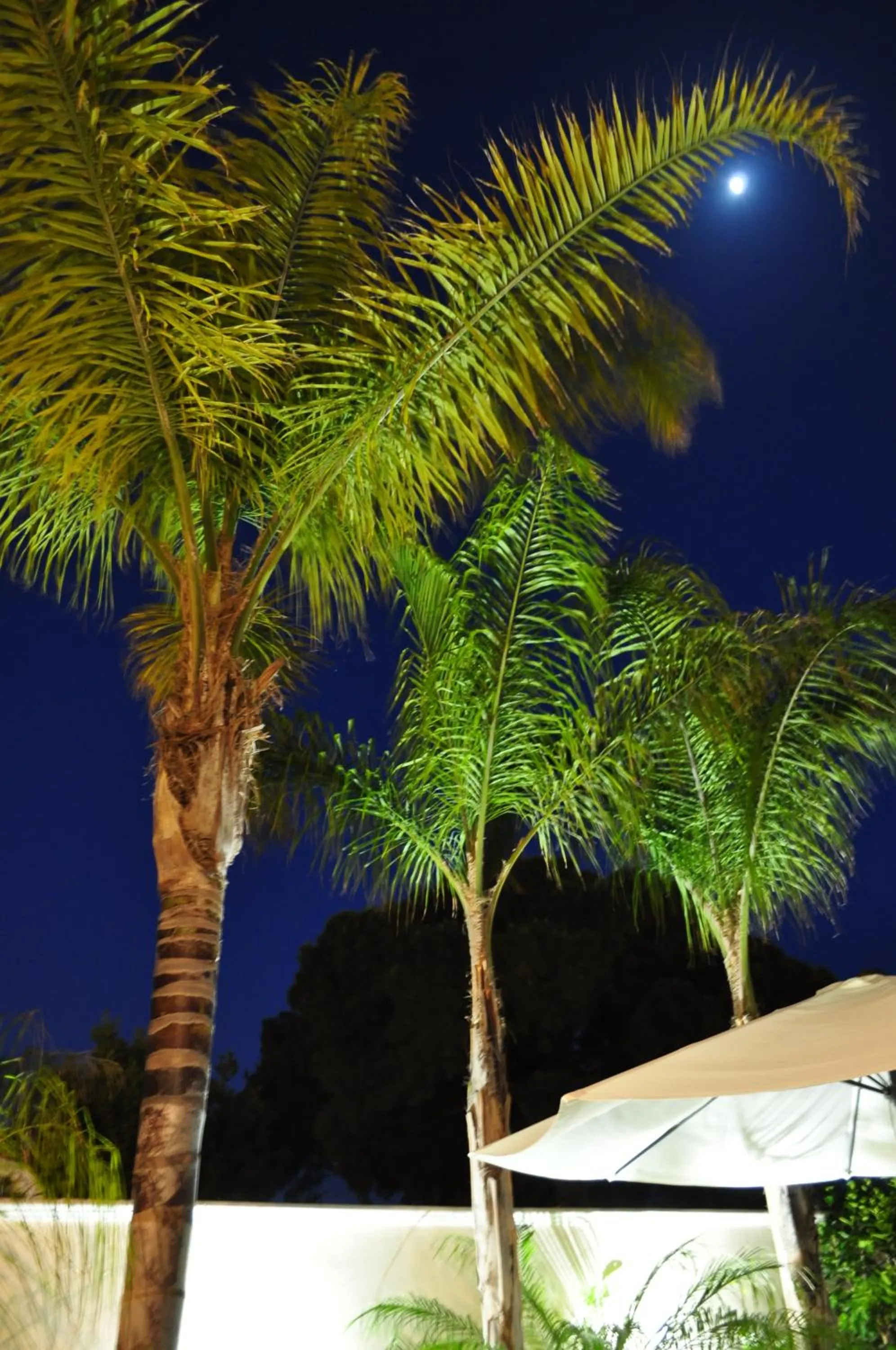 Garden in 7 Contrade