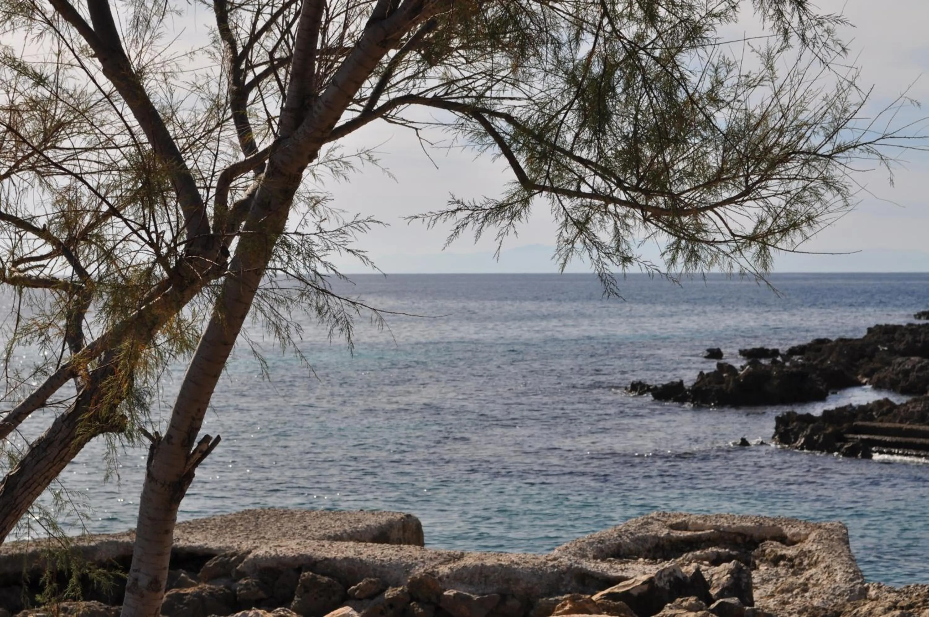 Nearby landmark in 7 Contrade