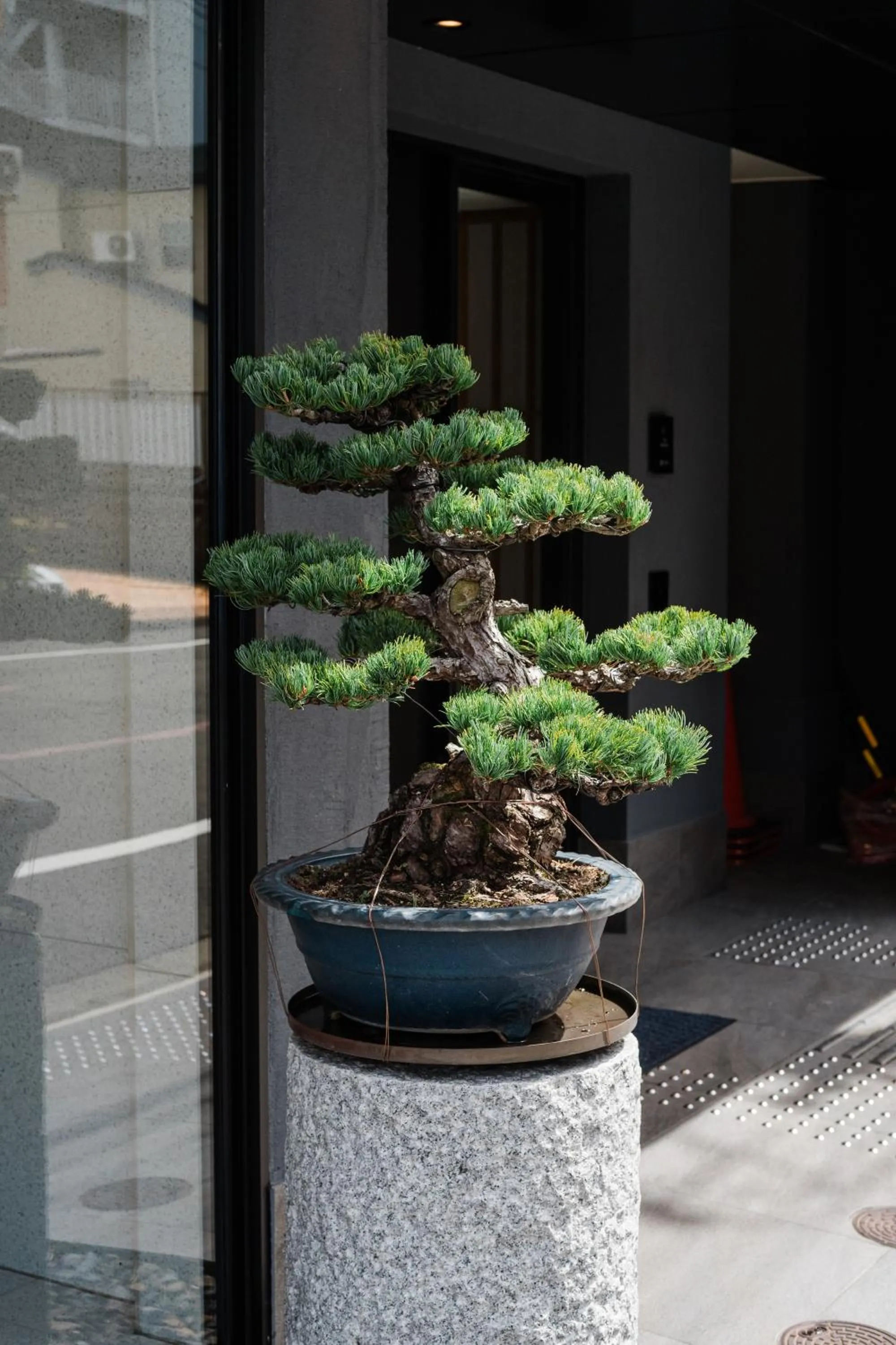 Day in KIORI Collection Shinmachi