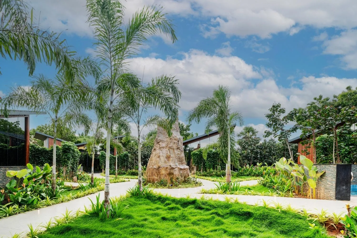 Natural landscape in Forrest