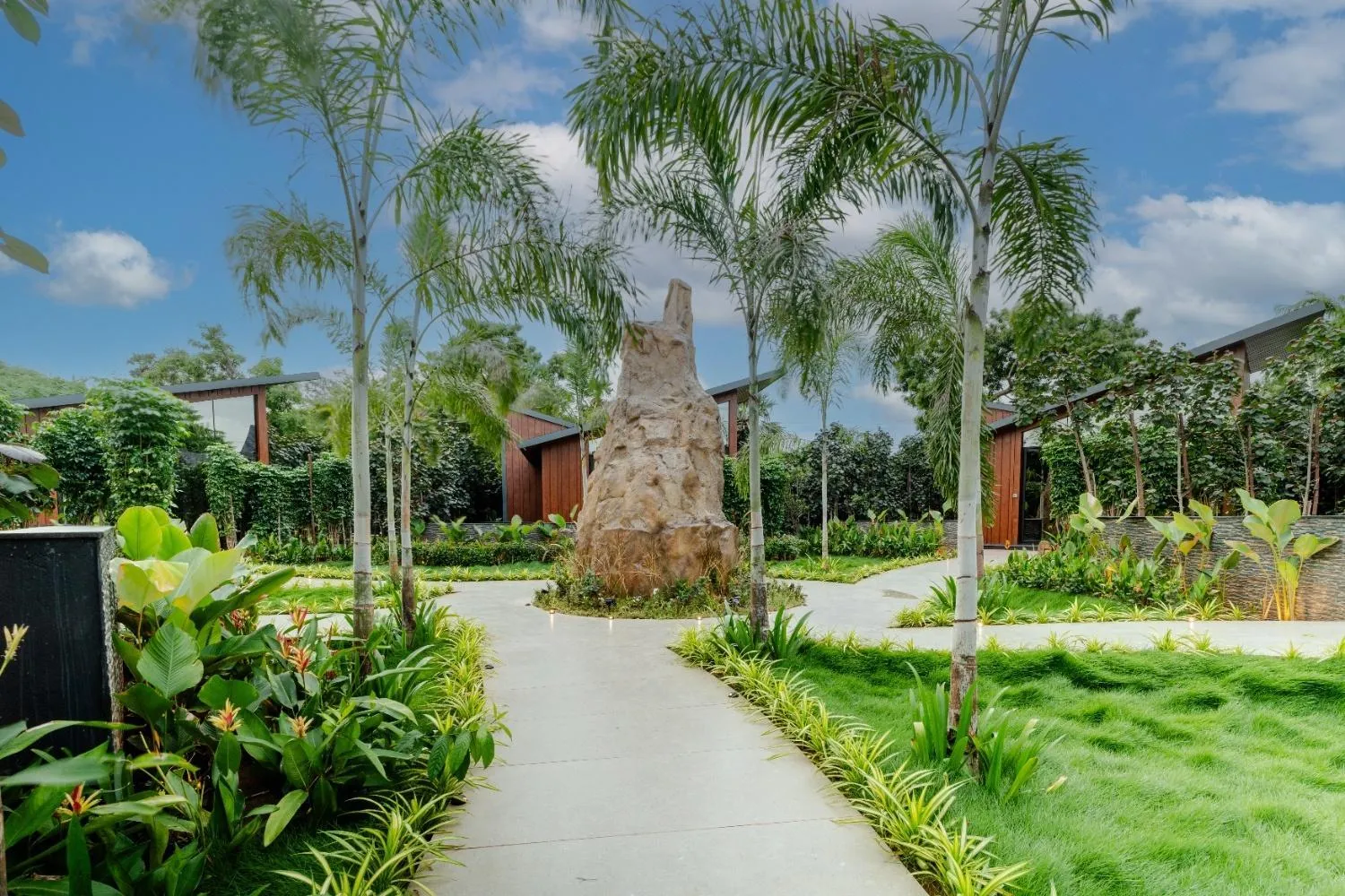 Natural landscape in Forrest
