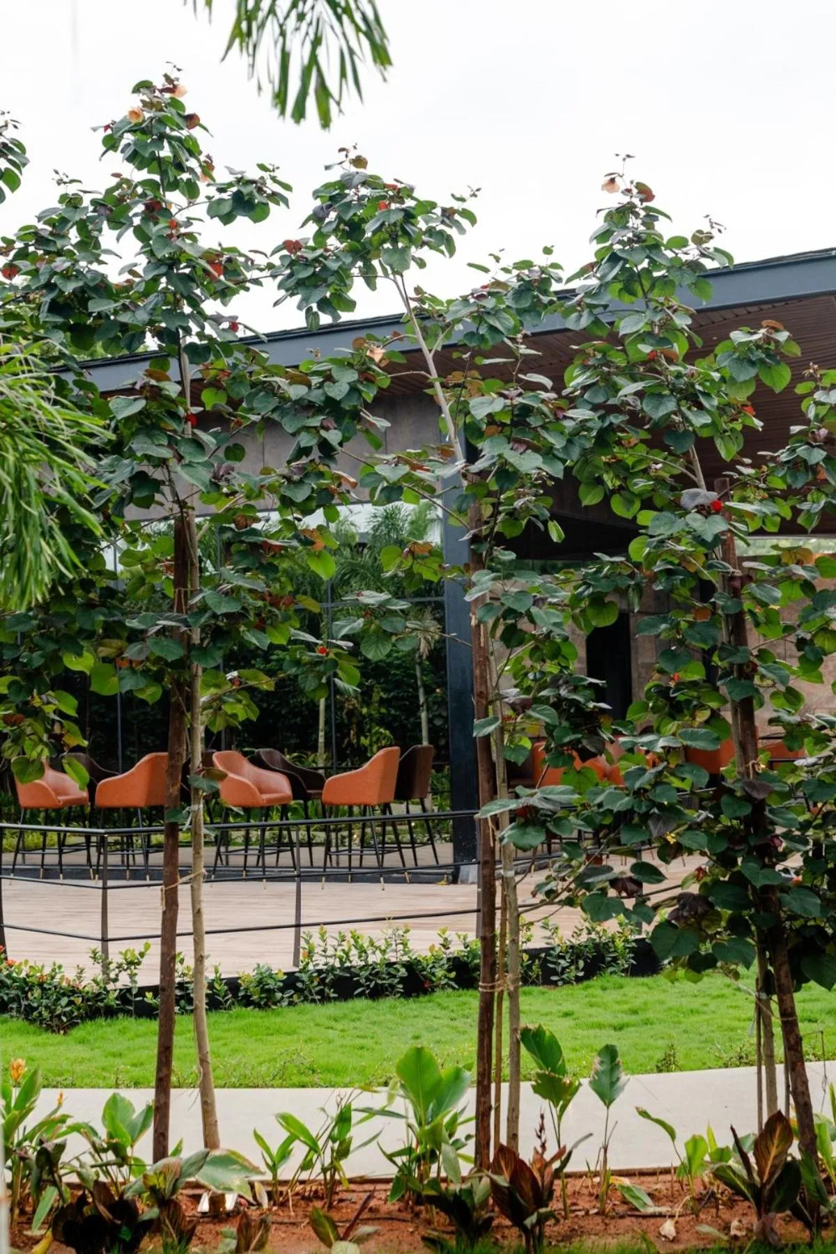 Garden view in Forrest